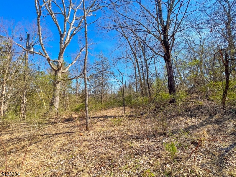 569 Ervey Road Andover, NJ 07821 - Photo 6 of 14