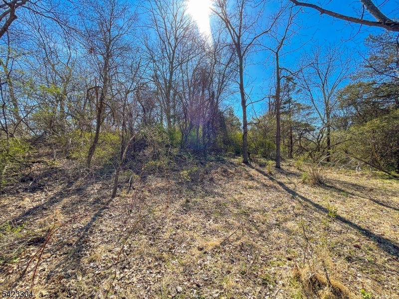 569 Ervey Road Andover, NJ 07821 - Photo 7 of 14