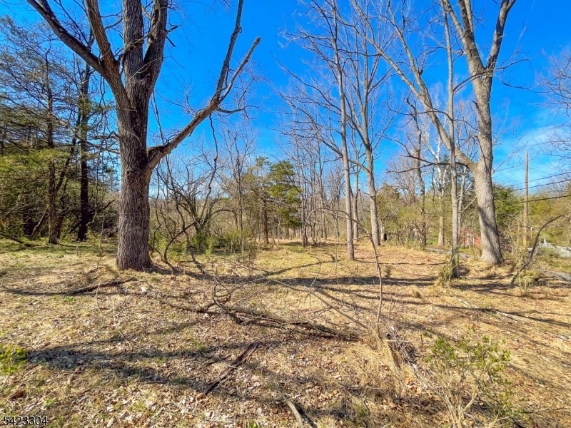 569 Ervey Road Andover, NJ 07821 - Photo 8 of 14