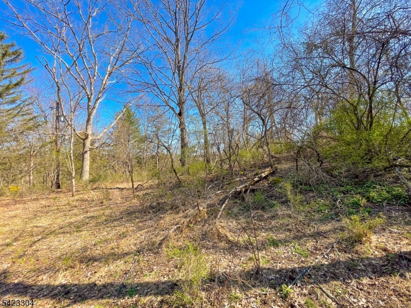 569 Ervey Road Andover, NJ 07821 - Photo 9 of 14