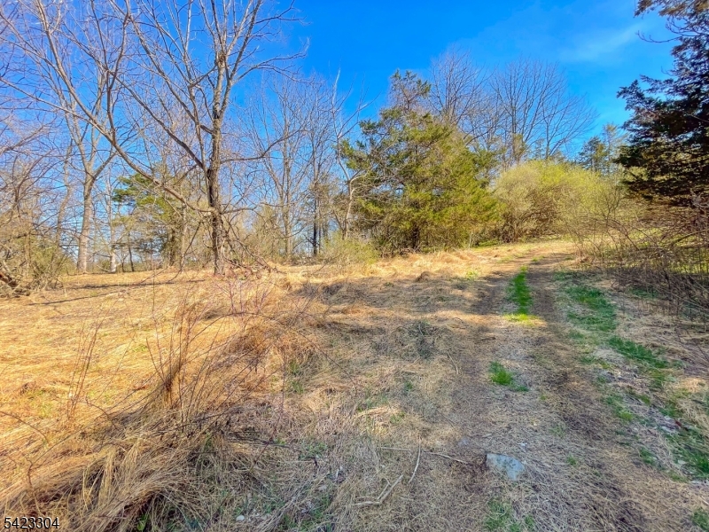 569 Ervey Road Andover, NJ 07821 - Photo 10 of 14