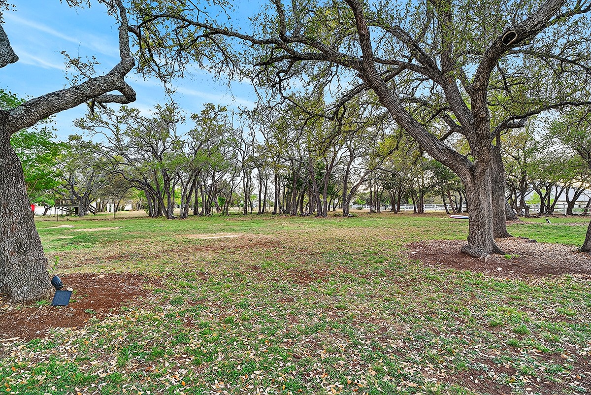 301 Medlin Creek Loop Dripping Springs, TX 78620 - Photo 33 of 40 View of green lawn