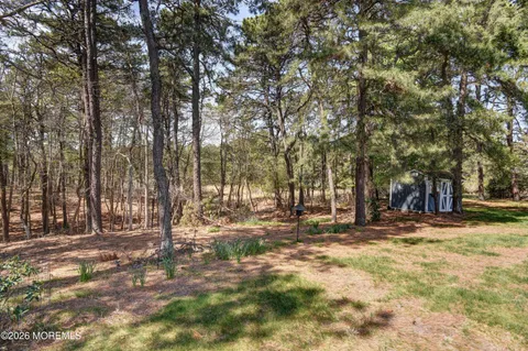 a backyard of a house with trees
