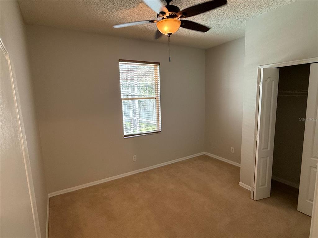 12521 Sparkleberry Road Tampa, FL 33626 - Photo 30 of 41