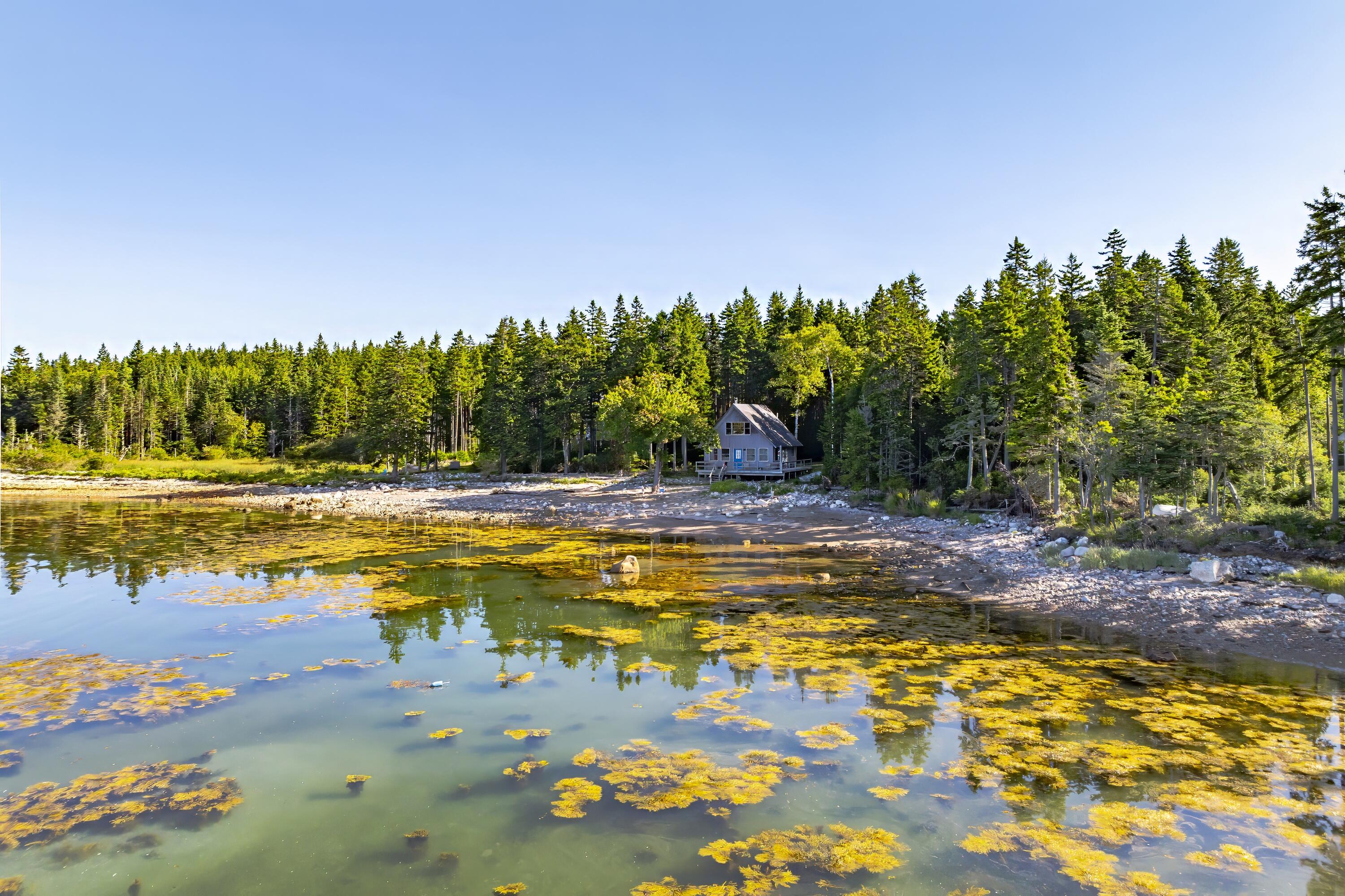 209 Wilderness Shore Road South Steuben, ME 04680 - Photo 56 of 79 56- 209 Wilderness Shore Road HiRes-DTP