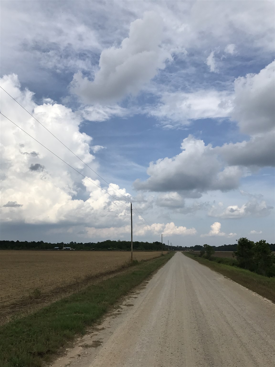Cc Road Elberta, AL 36530 - Photo 5 of 12