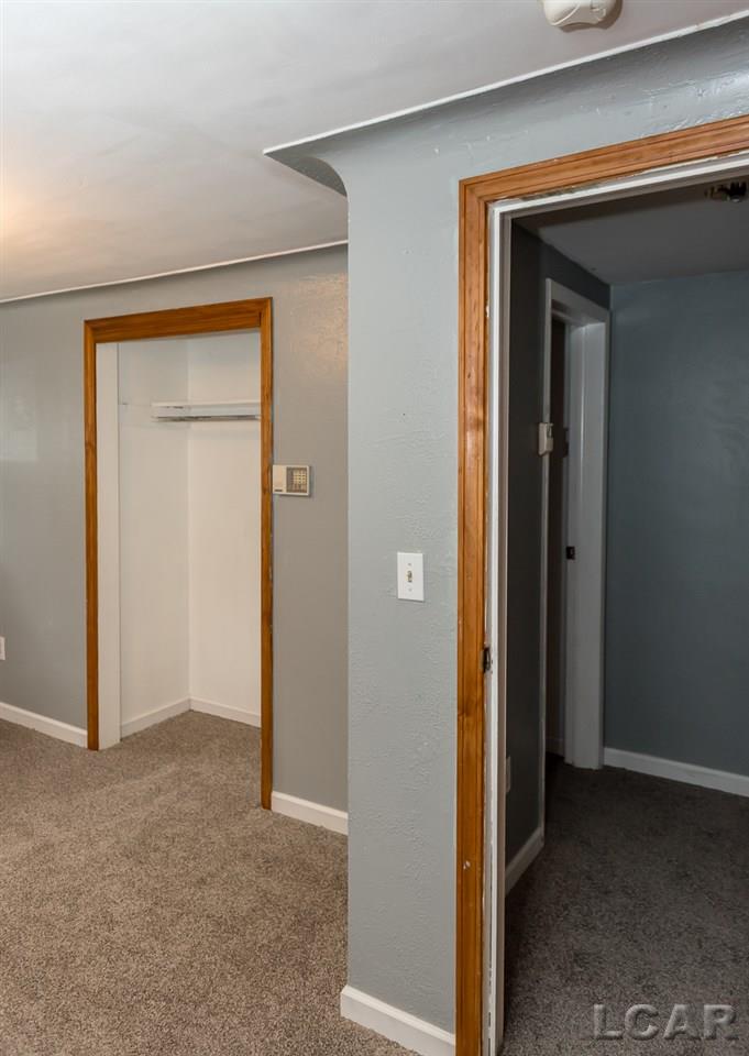 520 Springbrook Avenue Adrian, MI 49221 - Photo 53 of 53 50013118-52.JPG
