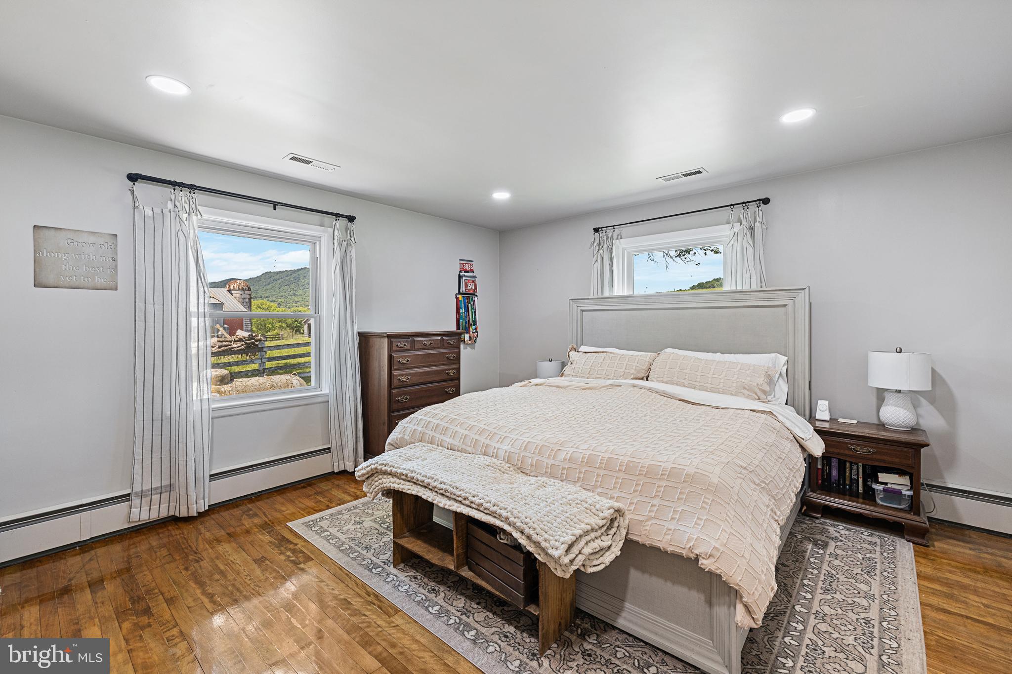 14441 North Mountain Road Broadway, VA 22815 - Photo 48 of 69 Primary bedroom