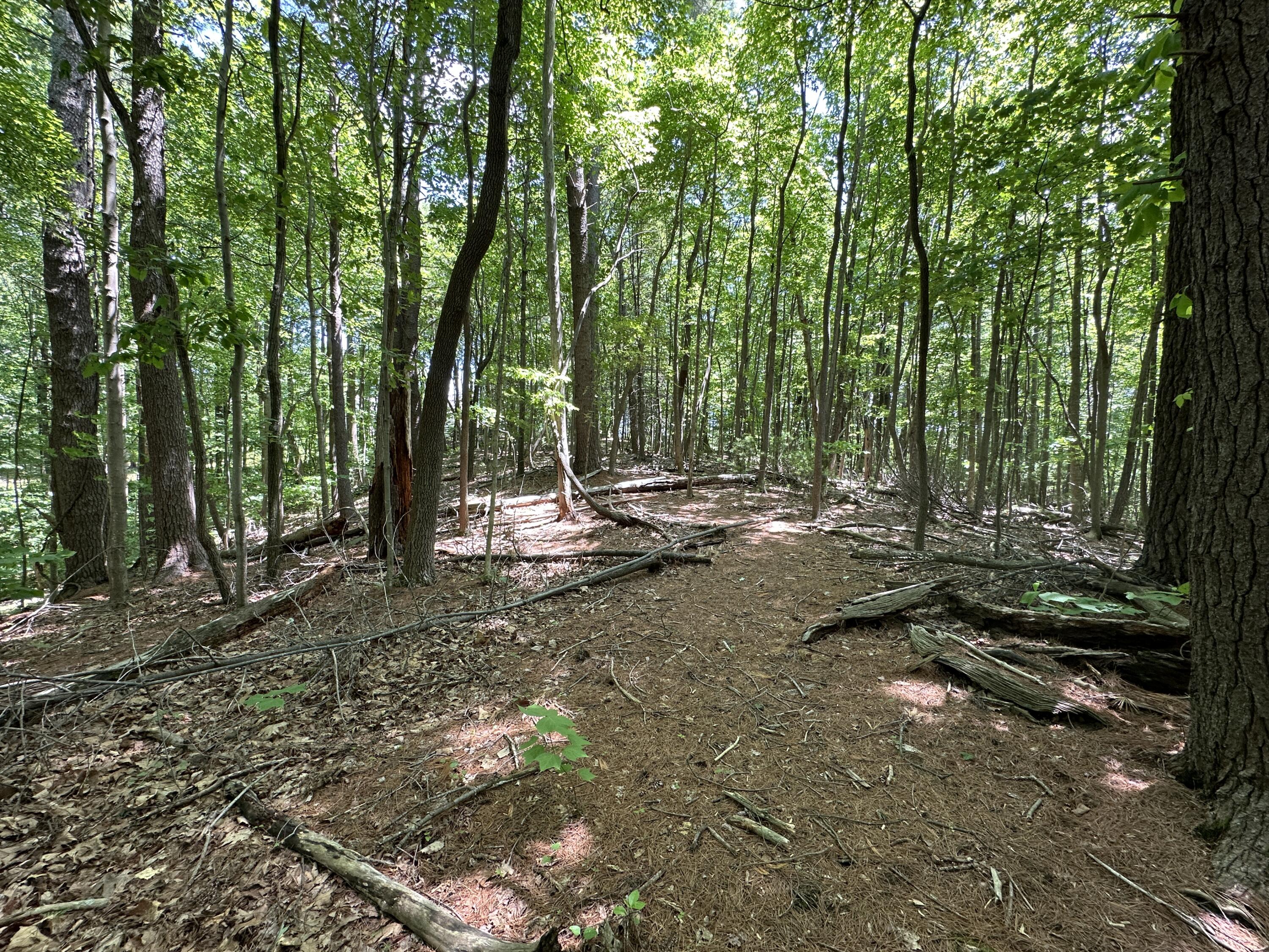 0 Mt Chestnut Road Roanoke, VA 24018 - Photo 11 of 29 IMG_2695