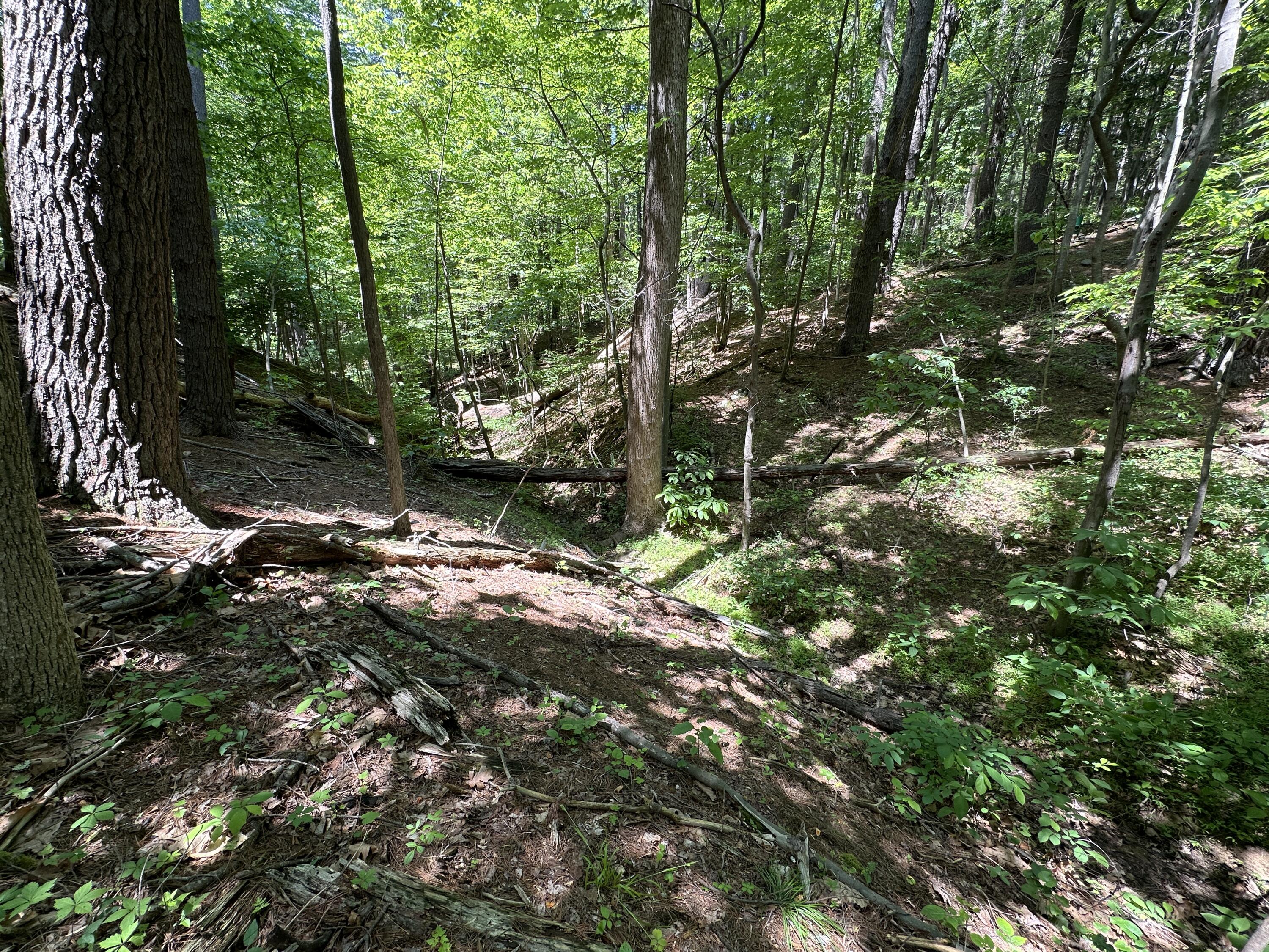 0 Mt Chestnut Road Roanoke, VA 24018 - Photo 13 of 29 IMG_2698