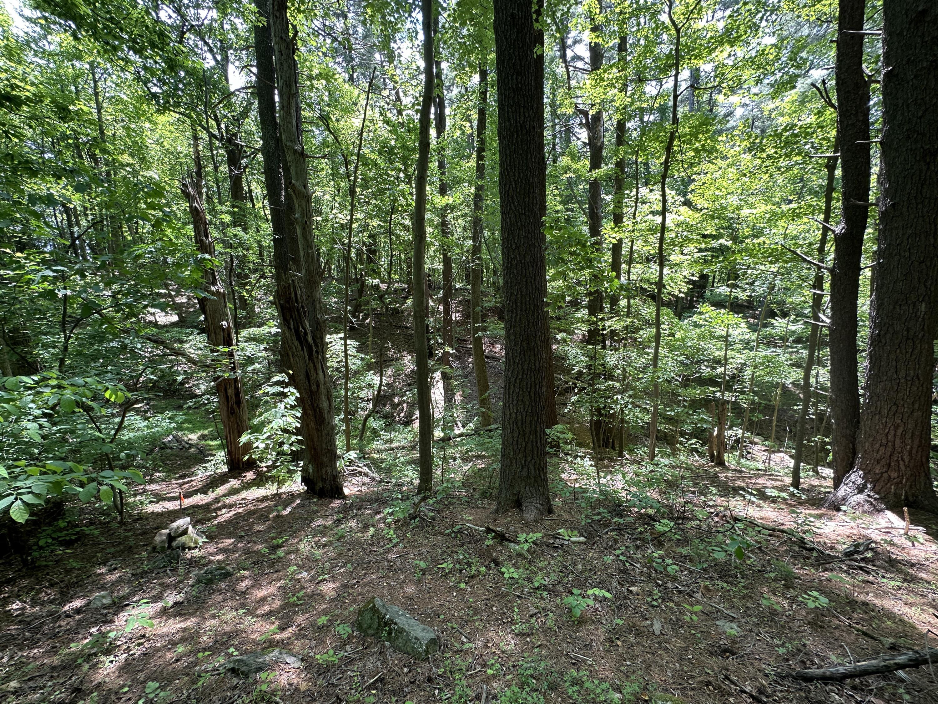 0 Mt Chestnut Road Roanoke, VA 24018 - Photo 14 of 29 IMG_2702