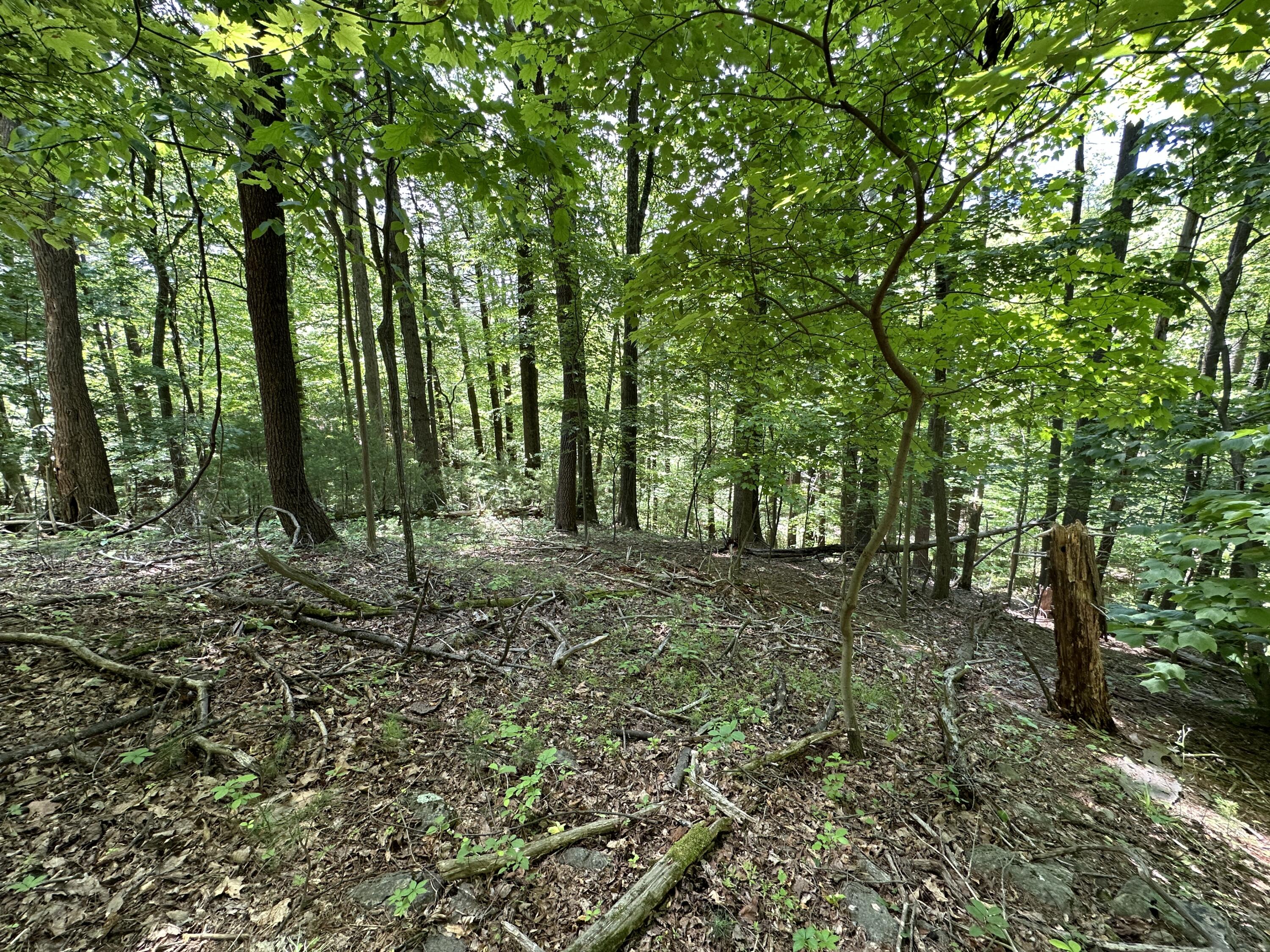 0 Mt Chestnut Road Roanoke, VA 24018 - Photo 15 of 29 IMG_2704