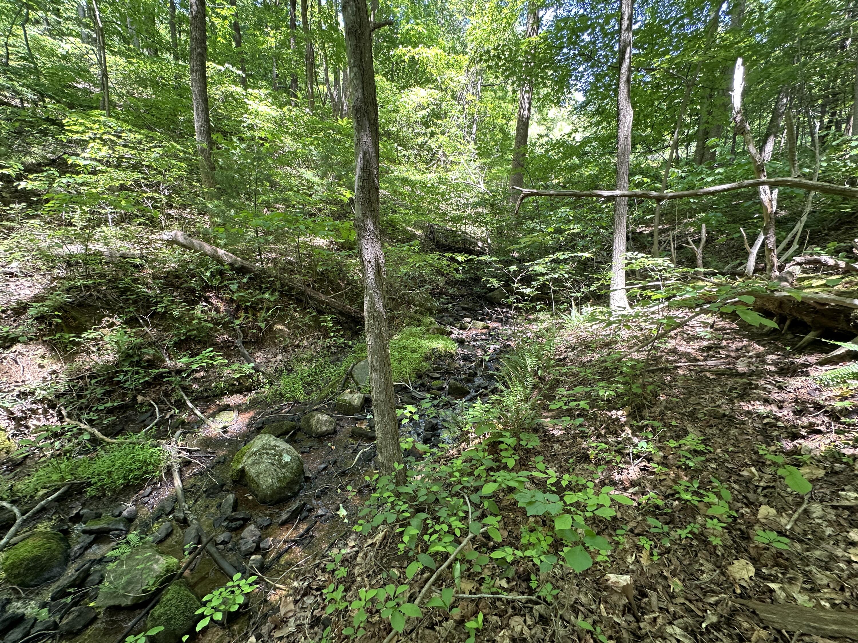 0 Mt Chestnut Road Roanoke, VA 24018 - Photo 16 of 29 IMG_2705