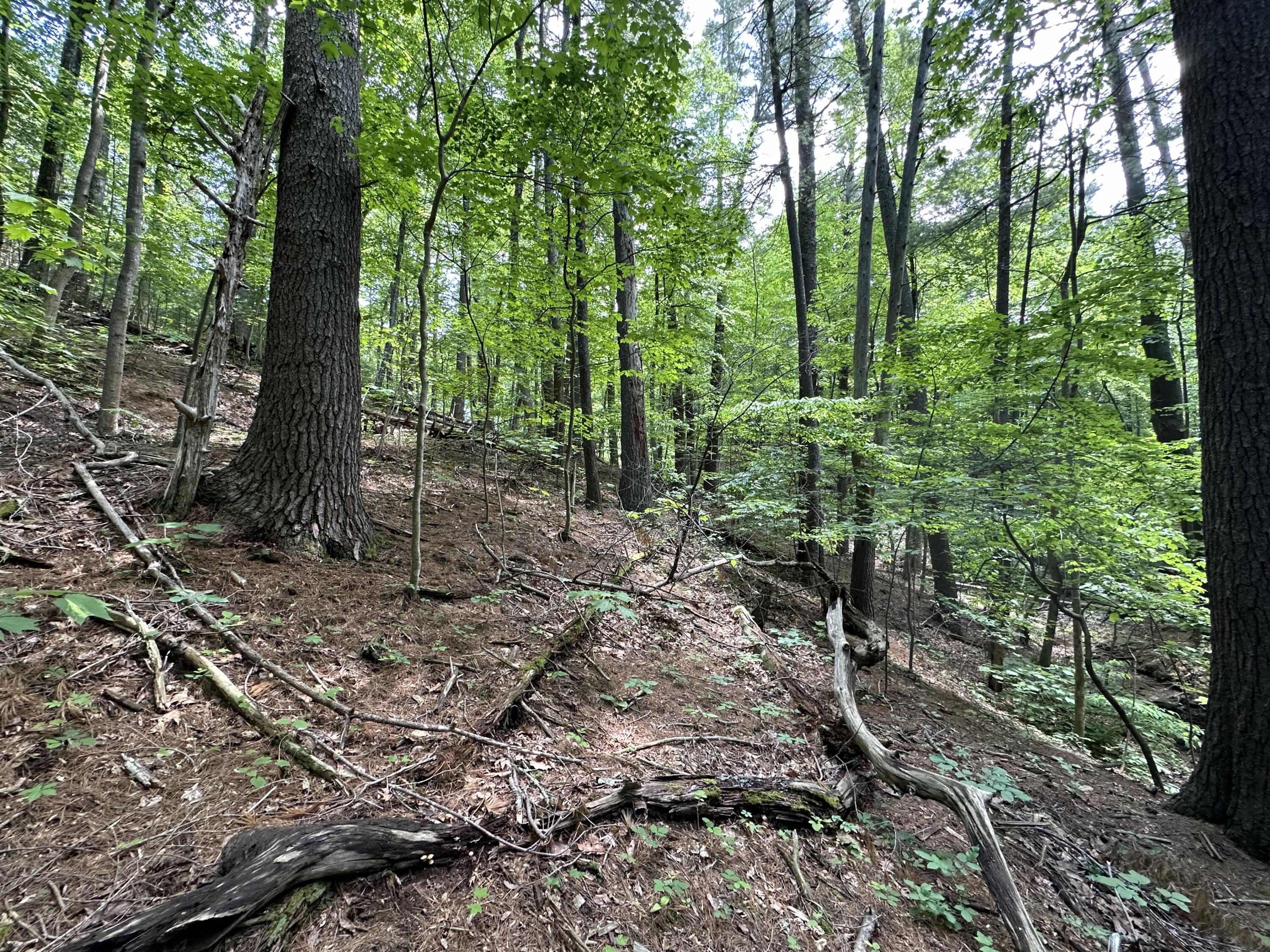 0 Mt Chestnut Road Roanoke, VA 24018 - Photo 18 of 29 IMG_2709