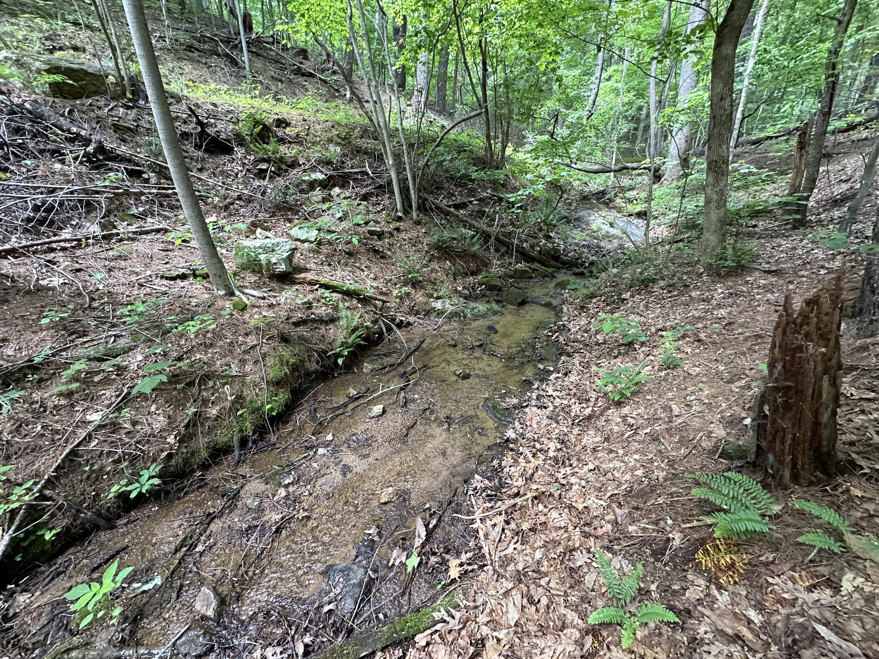 0 Mt Chestnut Road Roanoke, VA 24018 - Photo 19 of 29 IMG_2710
