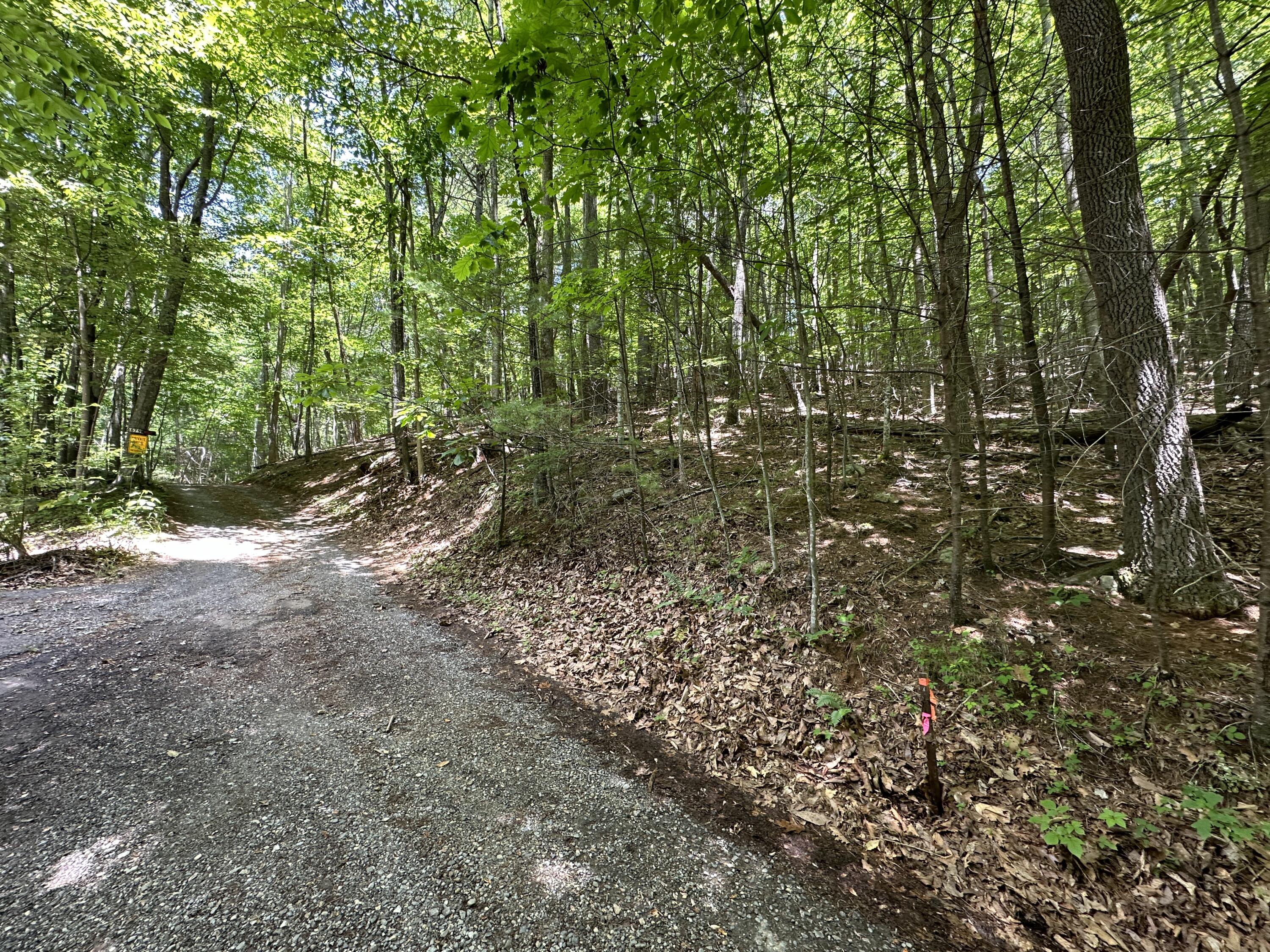 0 Mt Chestnut Road Roanoke, VA 24018 - Photo 2 of 29 IMG_2688