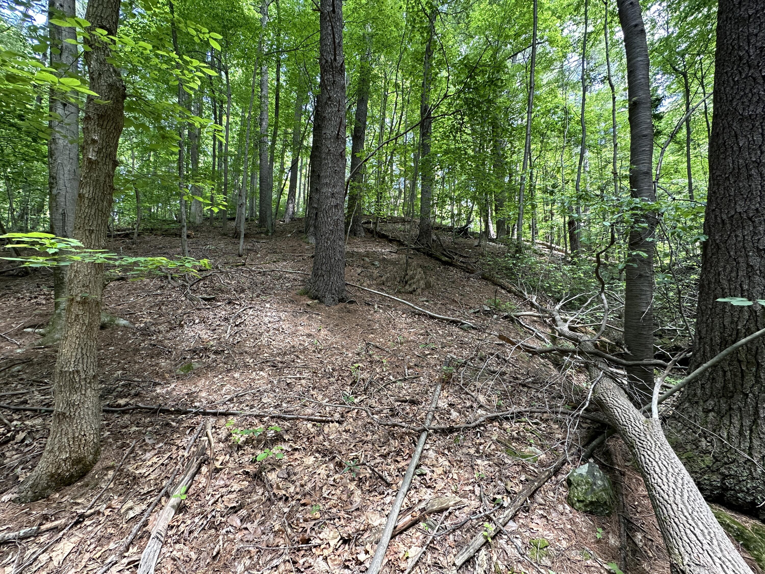 0 Mt Chestnut Road Roanoke, VA 24018 - Photo 21 of 29 IMG_2712