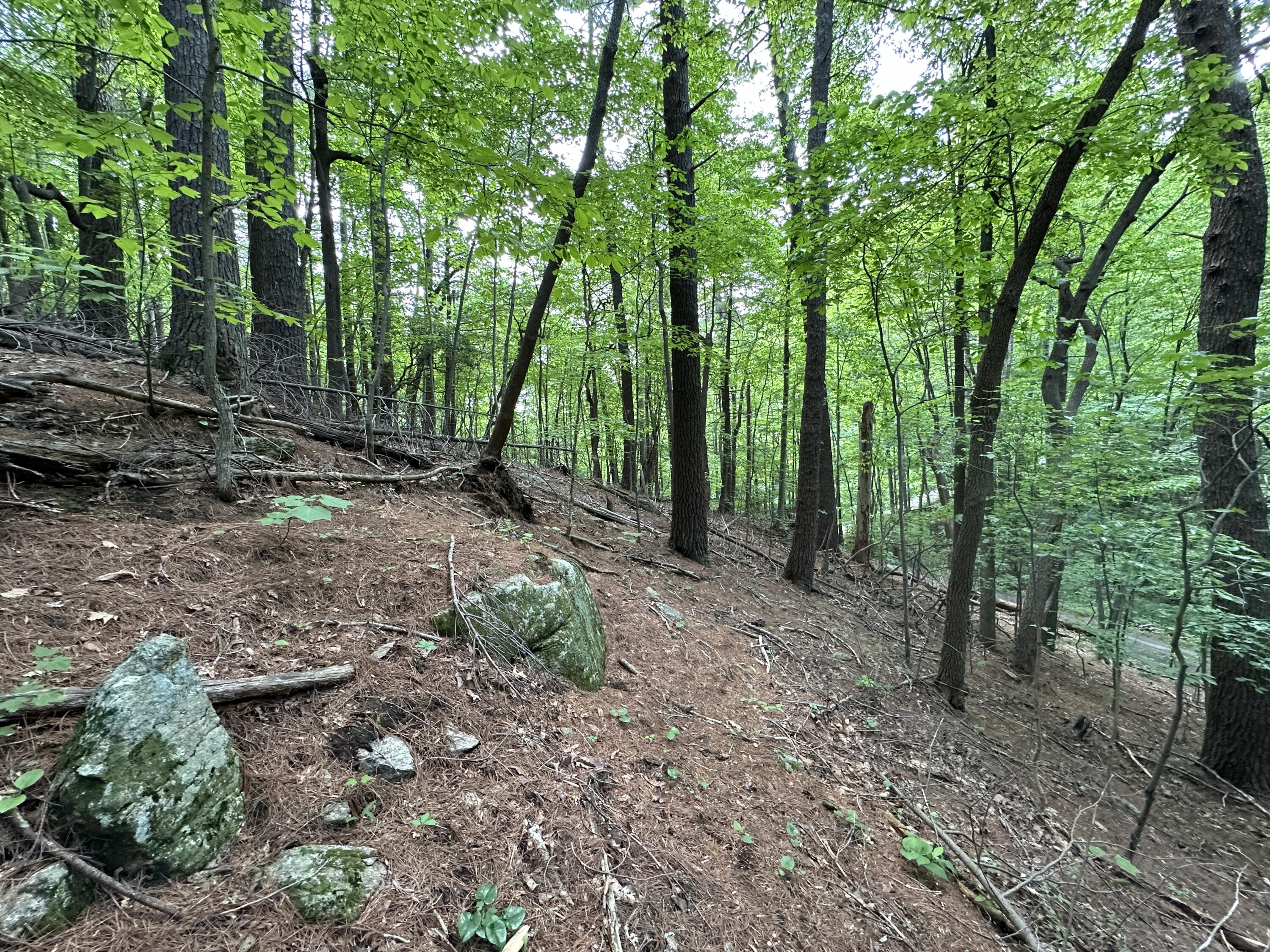 0 Mt Chestnut Road Roanoke, VA 24018 - Photo 22 of 29 IMG_2715