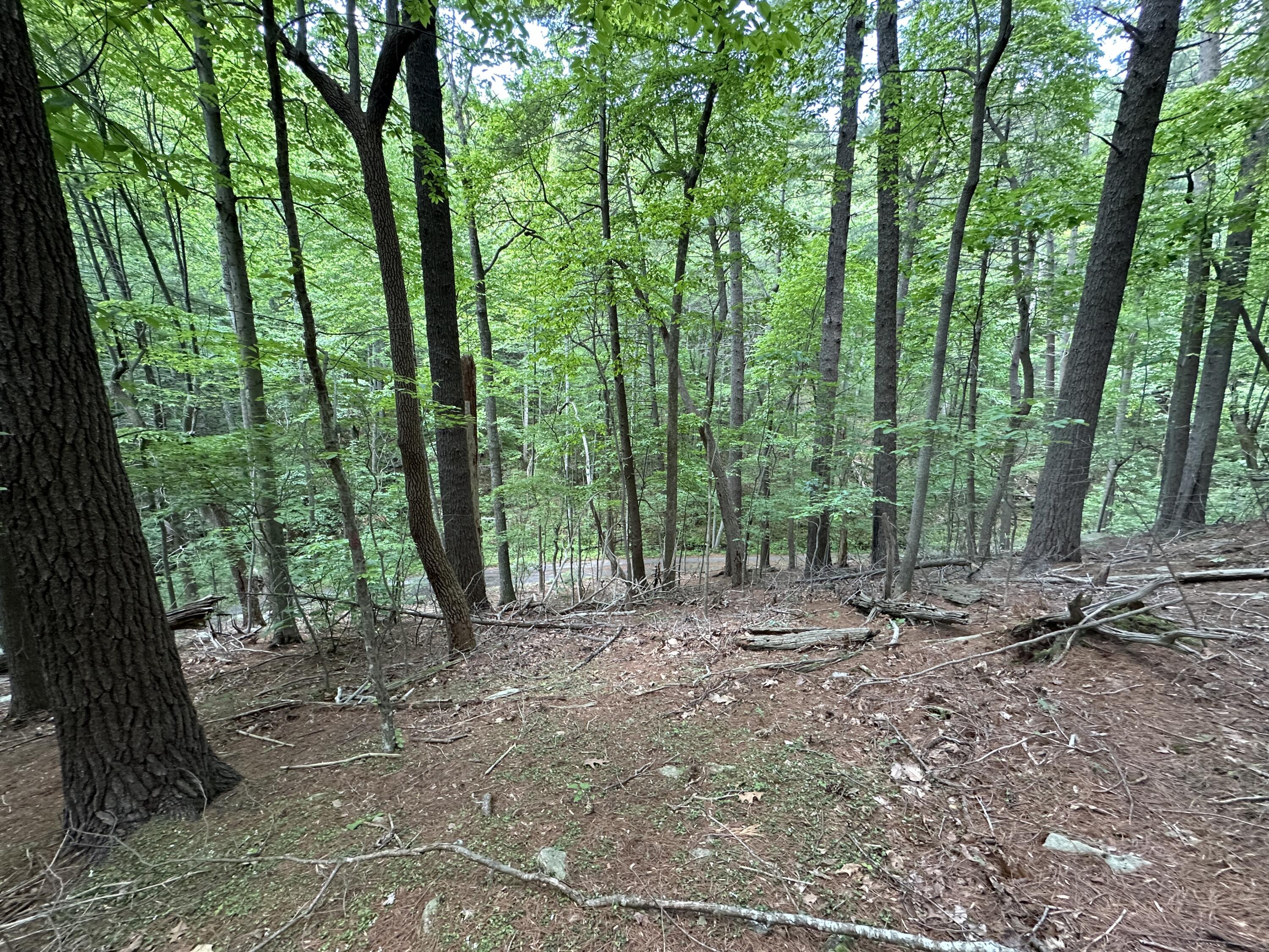 0 Mt Chestnut Road Roanoke, VA 24018 - Photo 23 of 29 IMG_2716