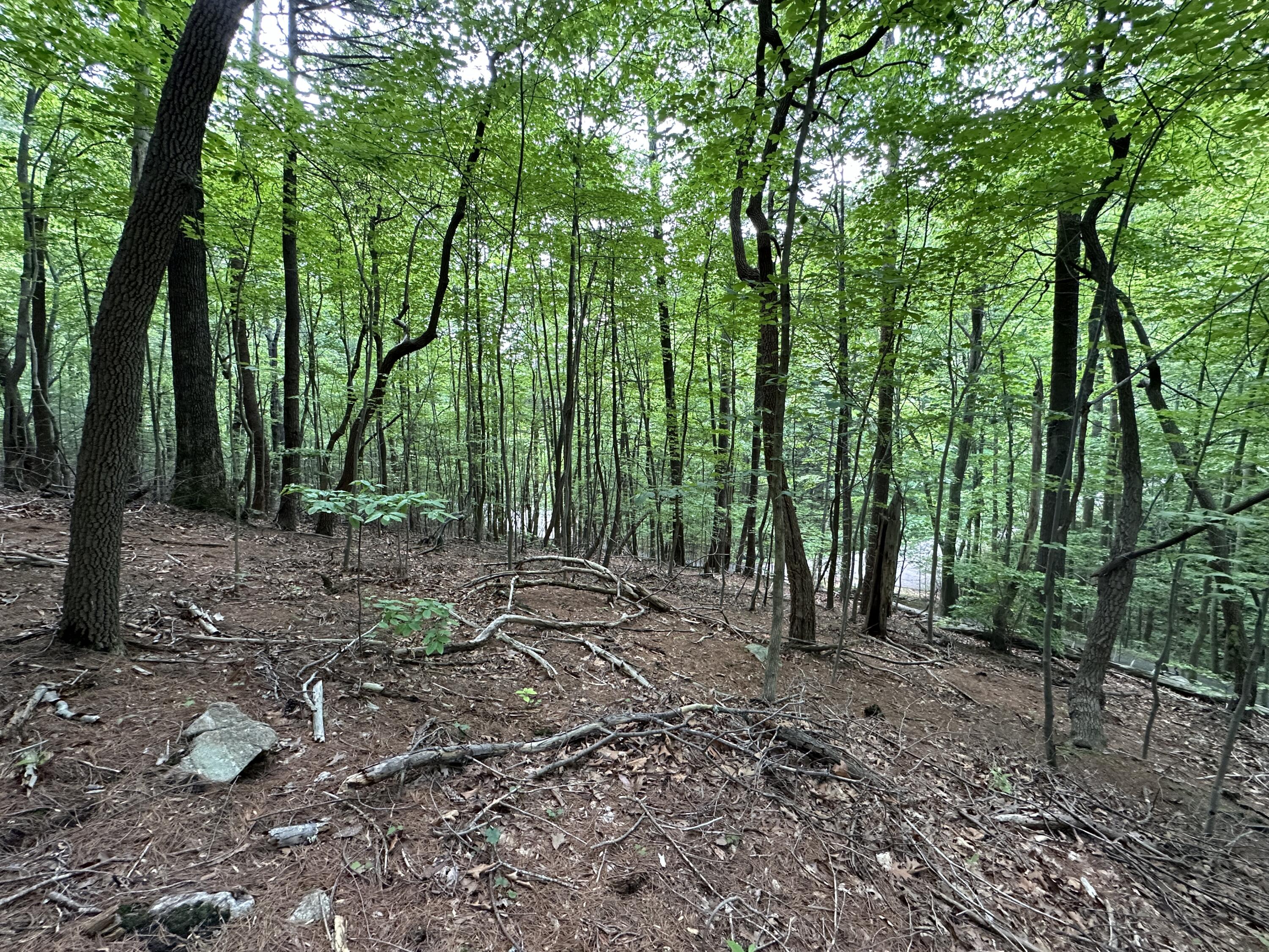 0 Mt Chestnut Road Roanoke, VA 24018 - Photo 24 of 29 IMG_2717