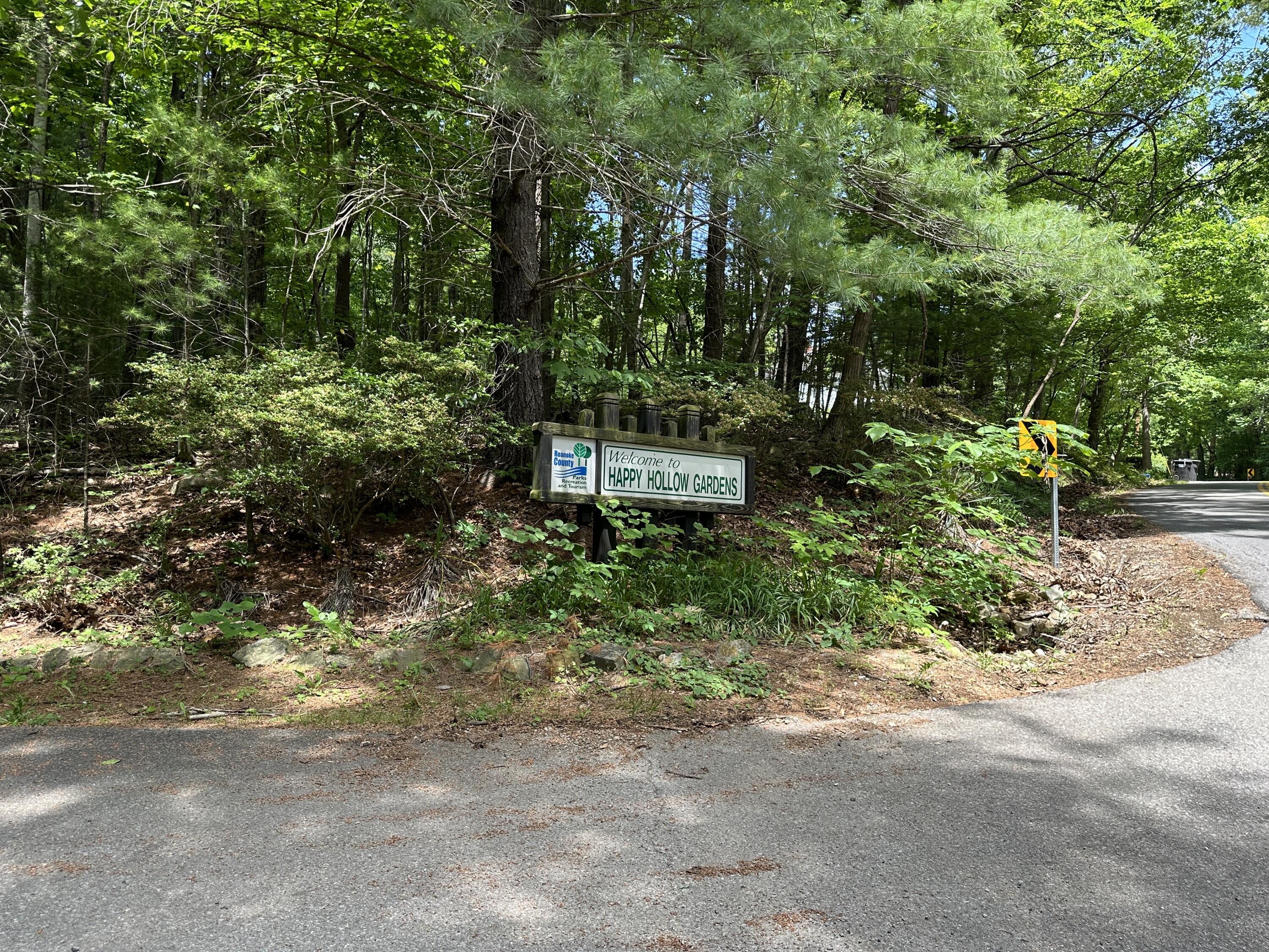 0 Mt Chestnut Road Roanoke, VA 24018 - Photo 25 of 29 IMG_2723