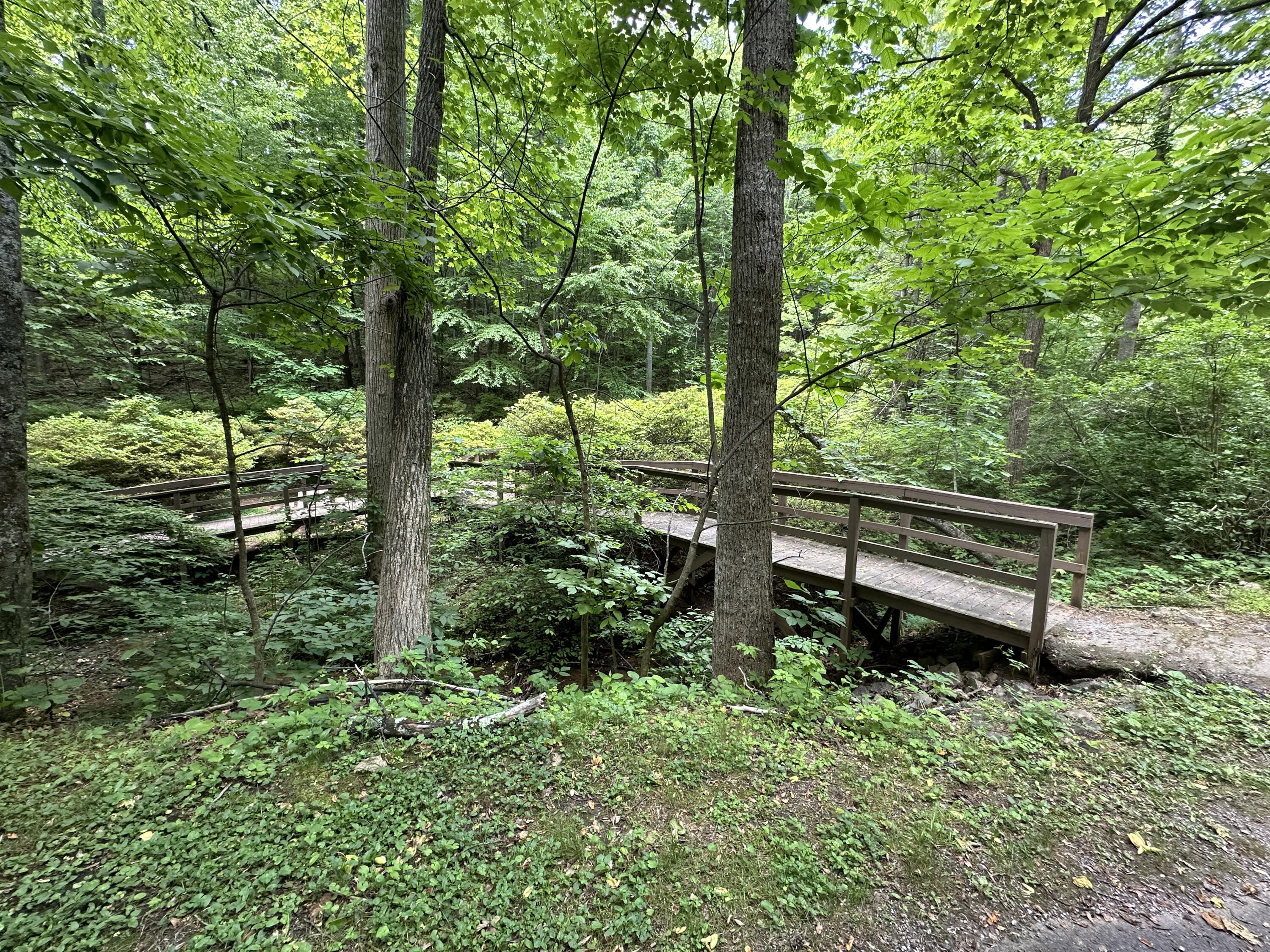 0 Mt Chestnut Road Roanoke, VA 24018 - Photo 27 of 29 IMG_2722