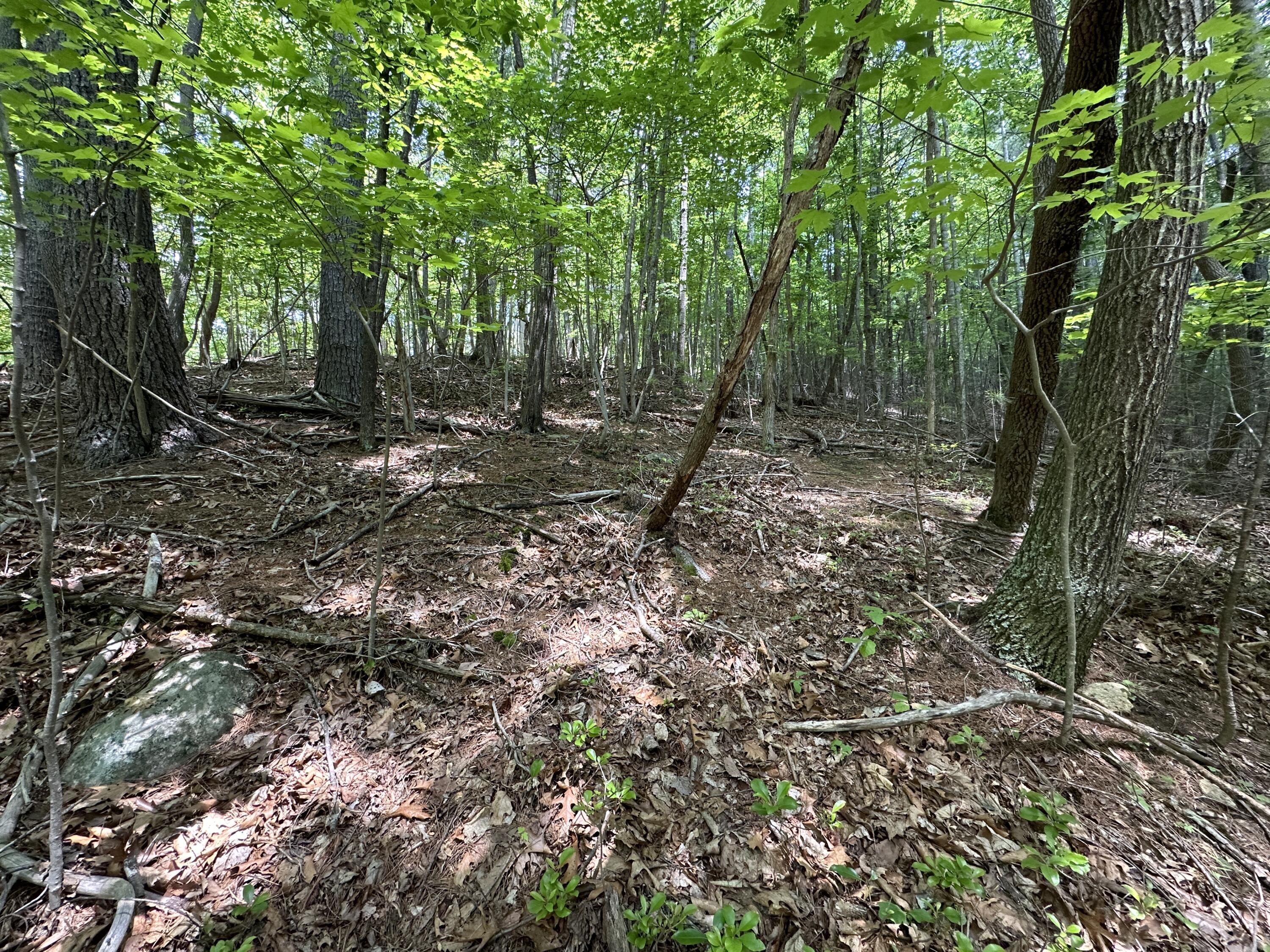 0 Mt Chestnut Road Roanoke, VA 24018 - Photo 3 of 29 IMG_2689