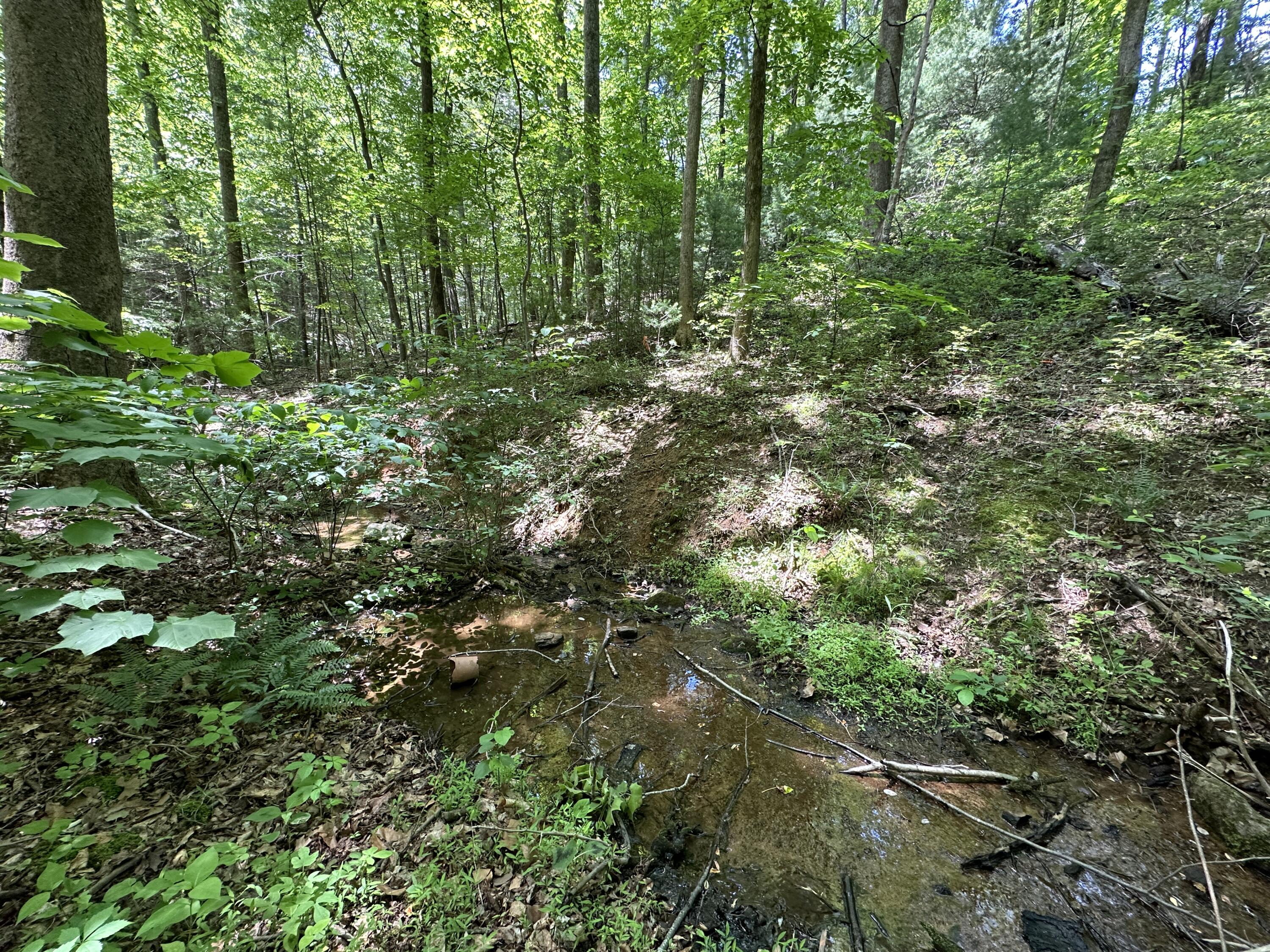 0 Mt Chestnut Road Roanoke, VA 24018 - Photo 4 of 29 IMG_2707