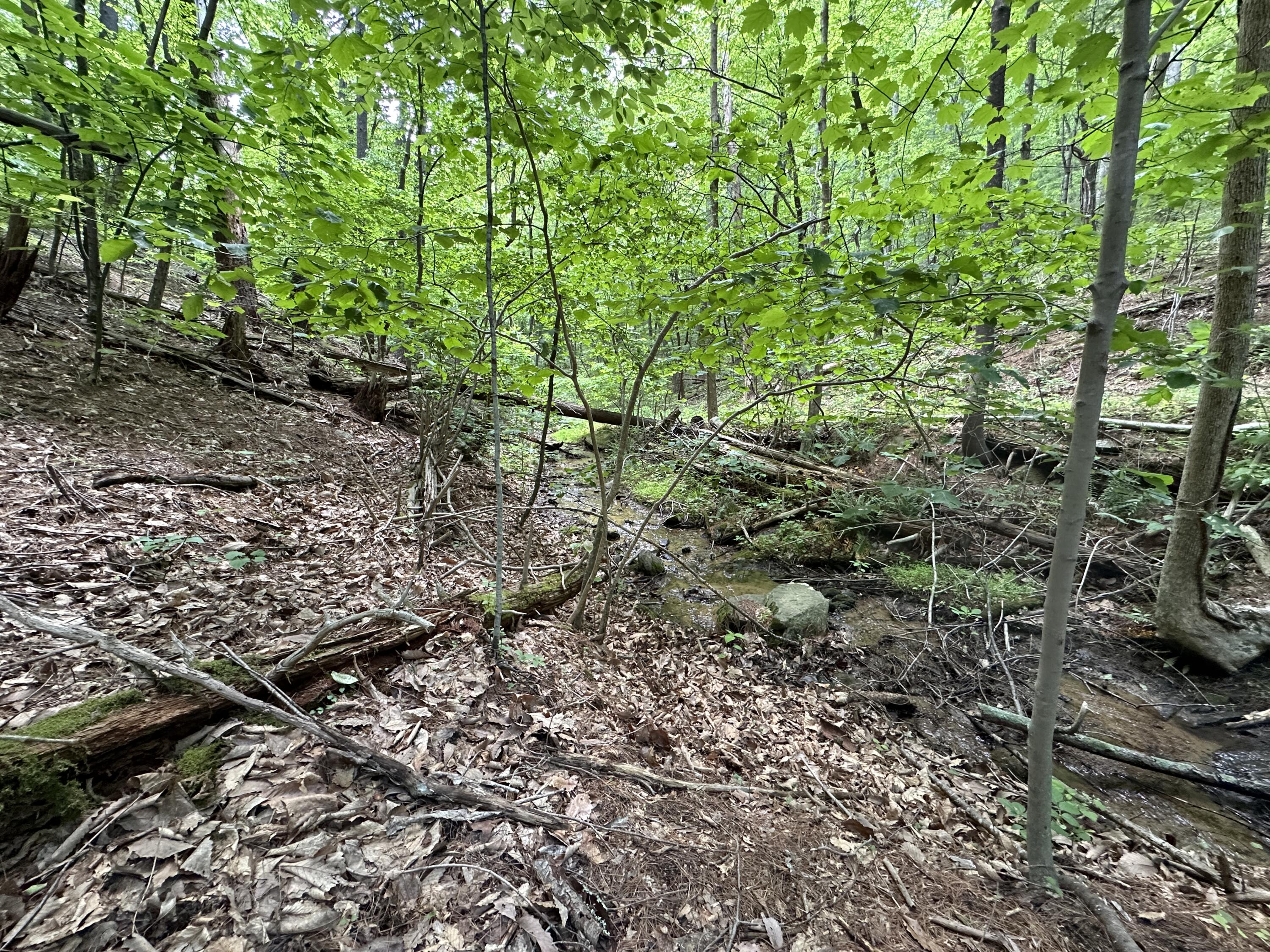 0 Mt Chestnut Road Roanoke, VA 24018 - Photo 5 of 29 IMG_2714