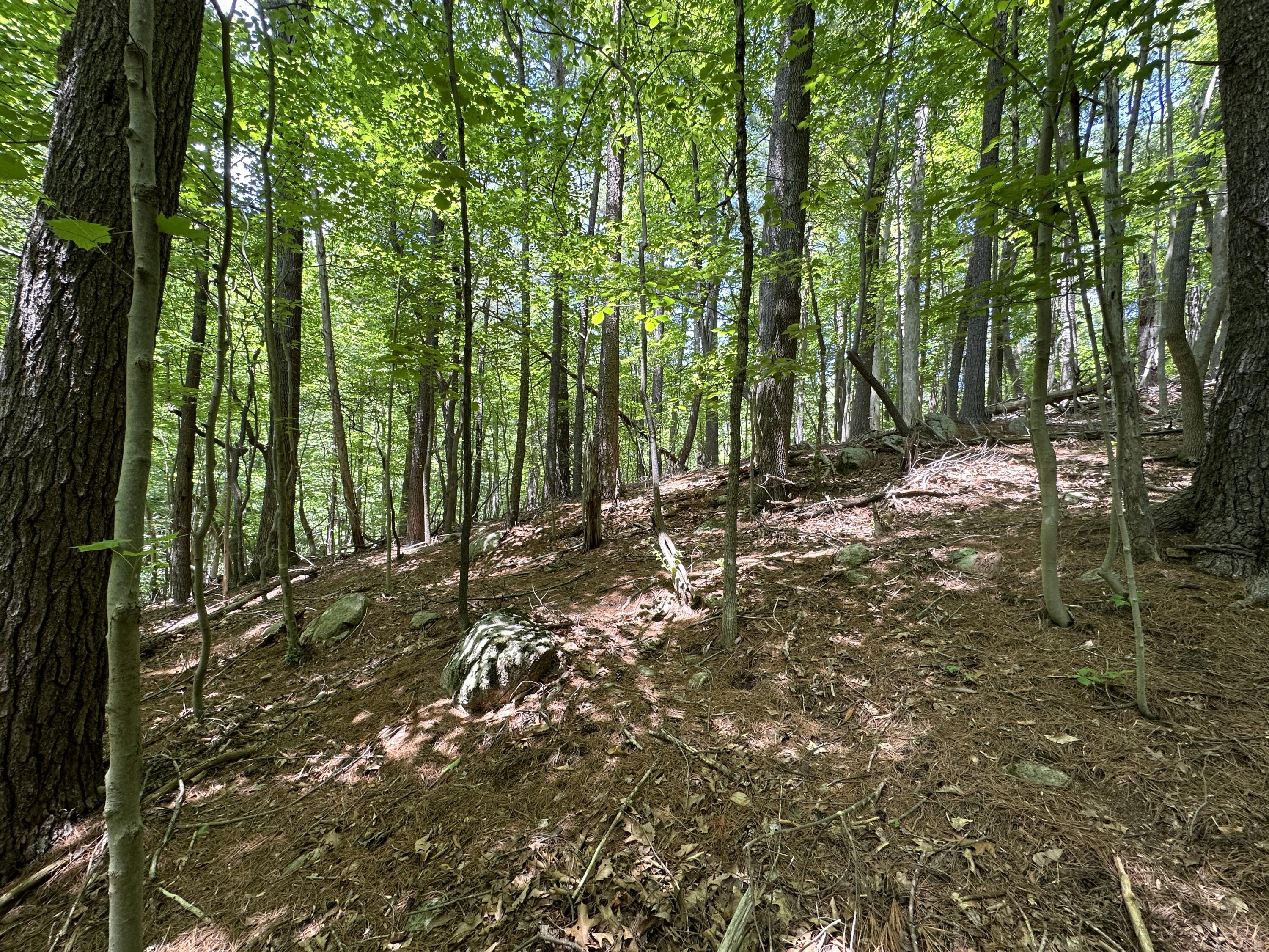 0 Mt Chestnut Road Roanoke, VA 24018 - Photo 6 of 29 IMG_2690