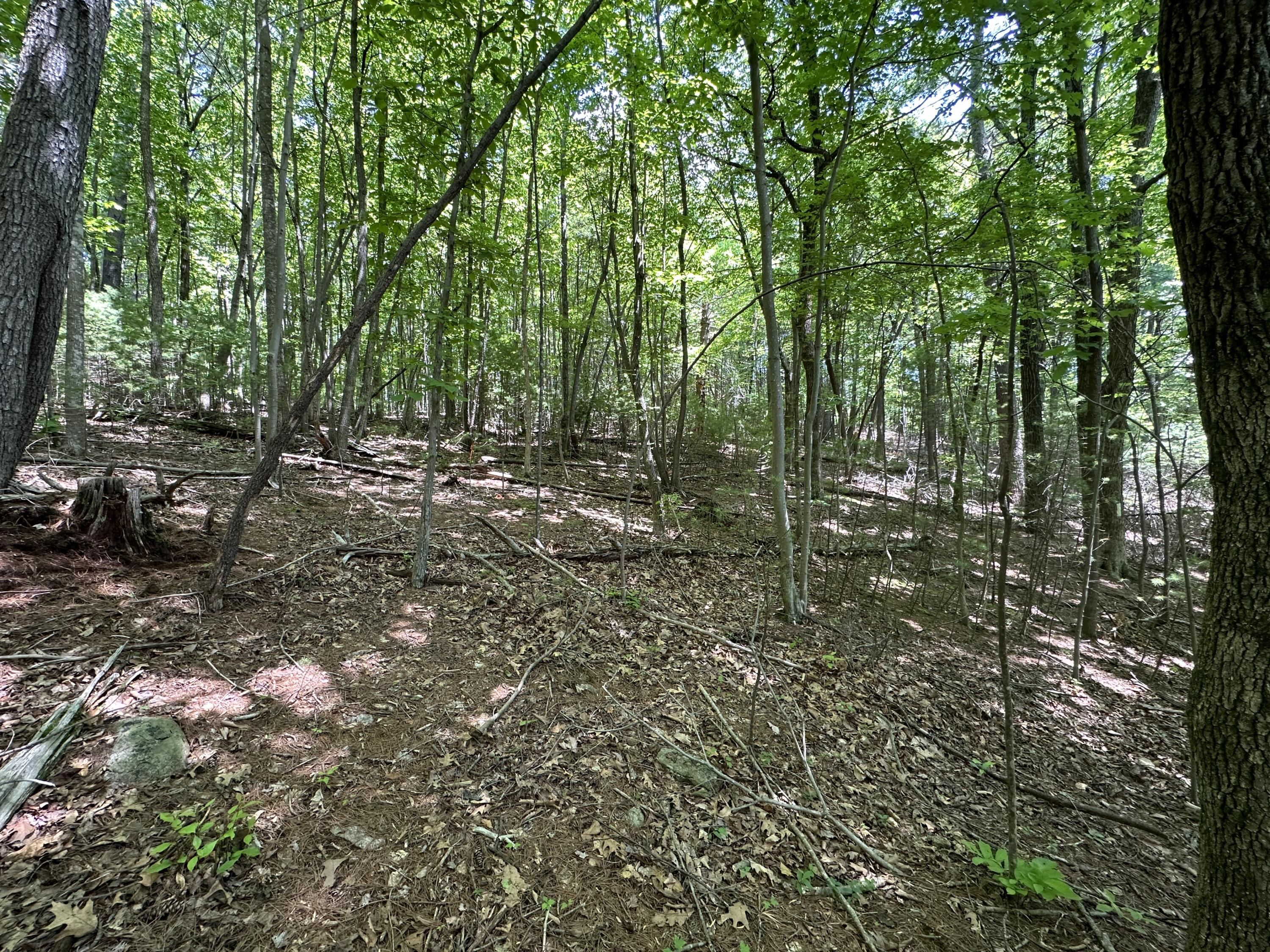 0 Mt Chestnut Road Roanoke, VA 24018 - Photo 7 of 29 IMG_2691