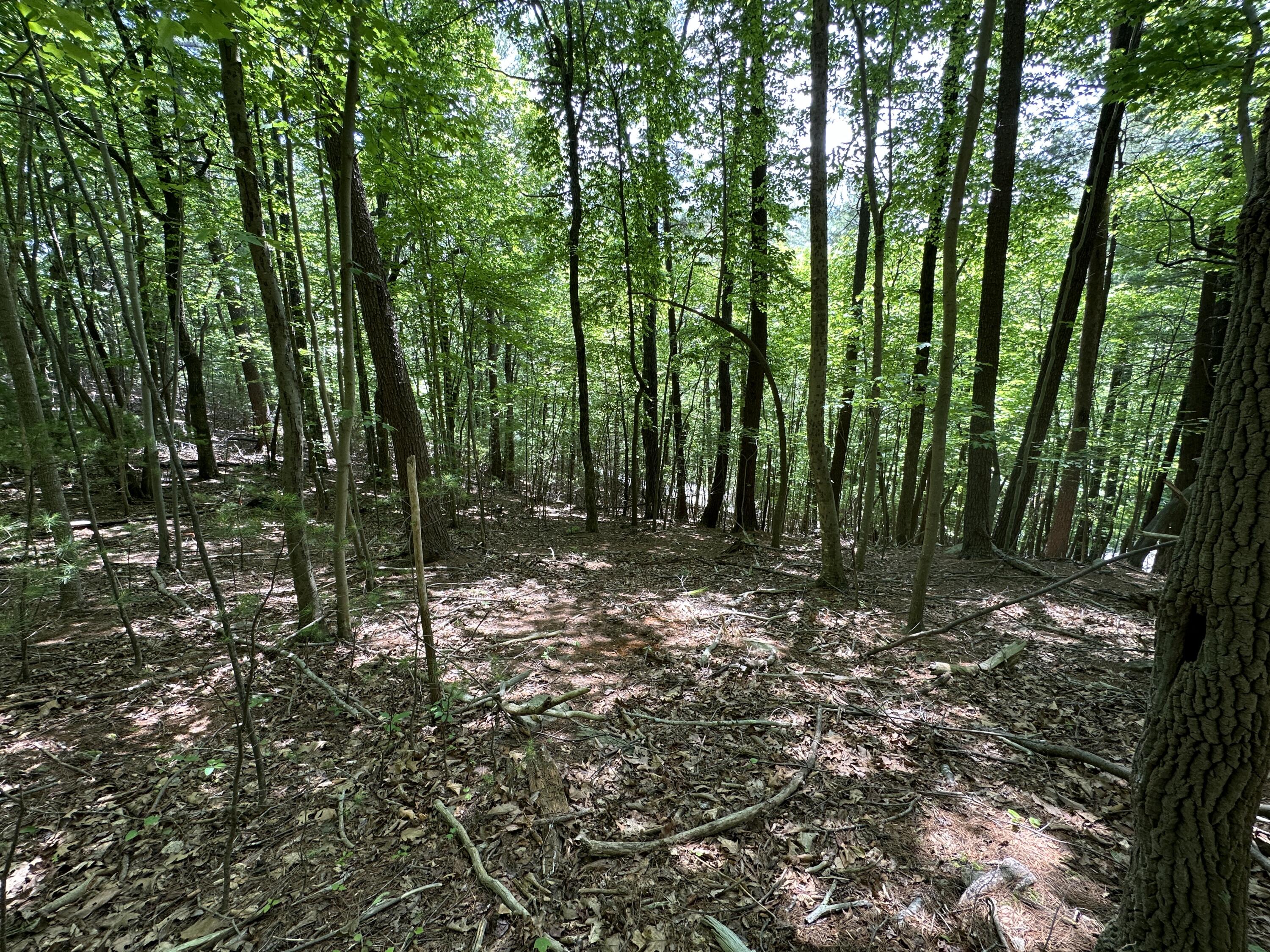 0 Mt Chestnut Road Roanoke, VA 24018 - Photo 8 of 29 IMG_2692