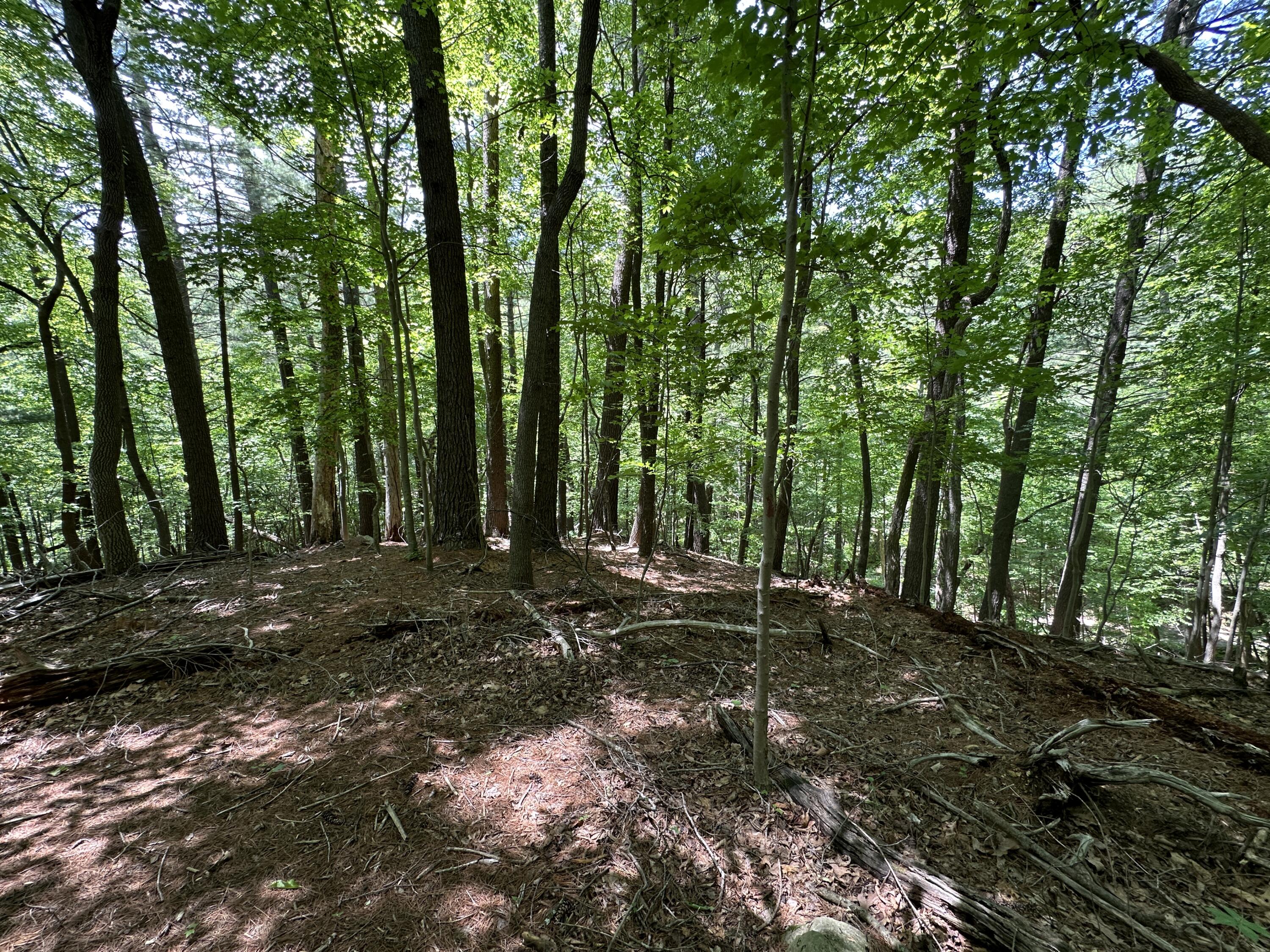 0 Mt Chestnut Road Roanoke, VA 24018 - Photo 9 of 29 IMG_2693