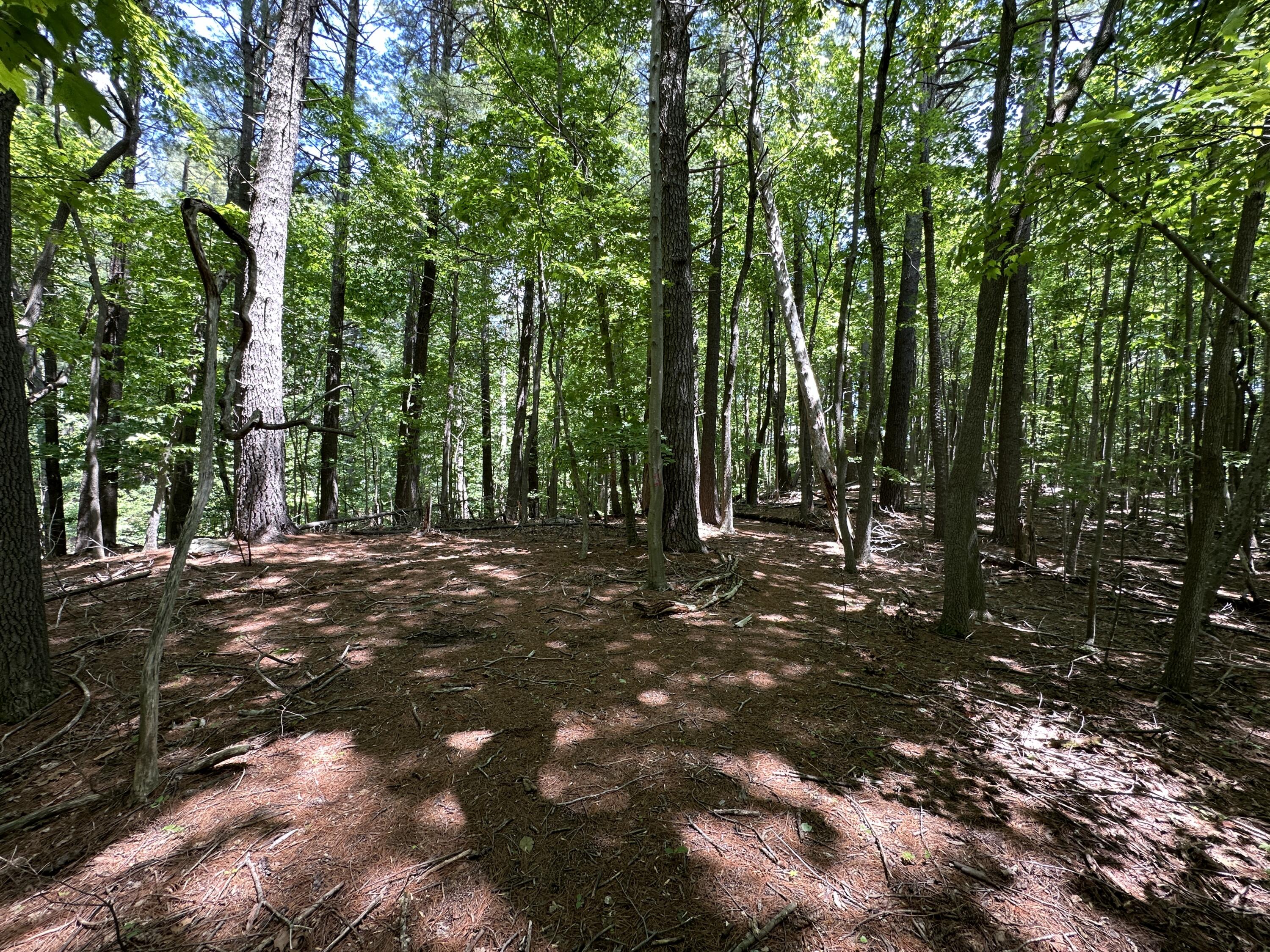 0 Mt Chestnut Road Roanoke, VA 24018 - Photo 10 of 29 IMG_2694