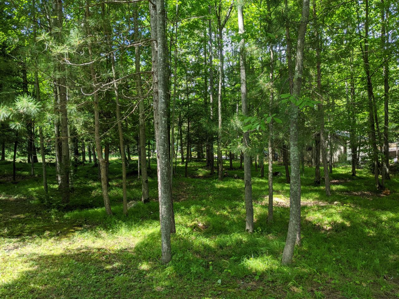 On East Solberg Lake Road Phillips, WI 54555 - Photo 12 of 12 Gallery Image 12
