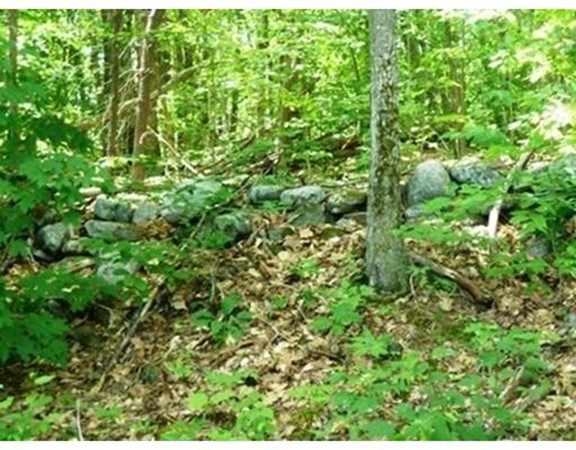 12 Chase Hill Road Warwick, MA 01378 - Photo 29 of 30 Gallery Image 29