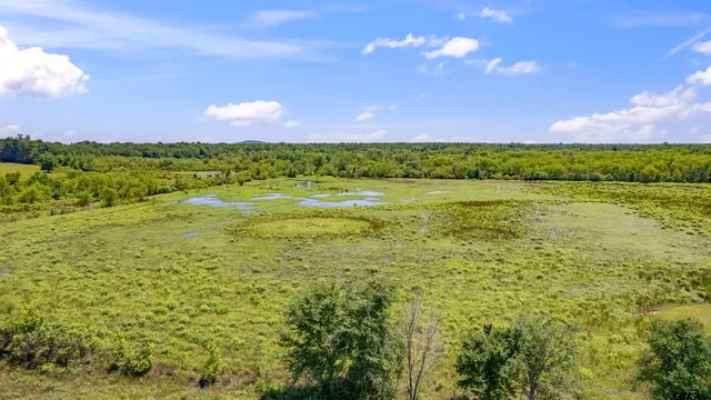 $999,000 | 12250 Cr 3513 Brownsboro Tx 75756, Brownsboro, TX 75756