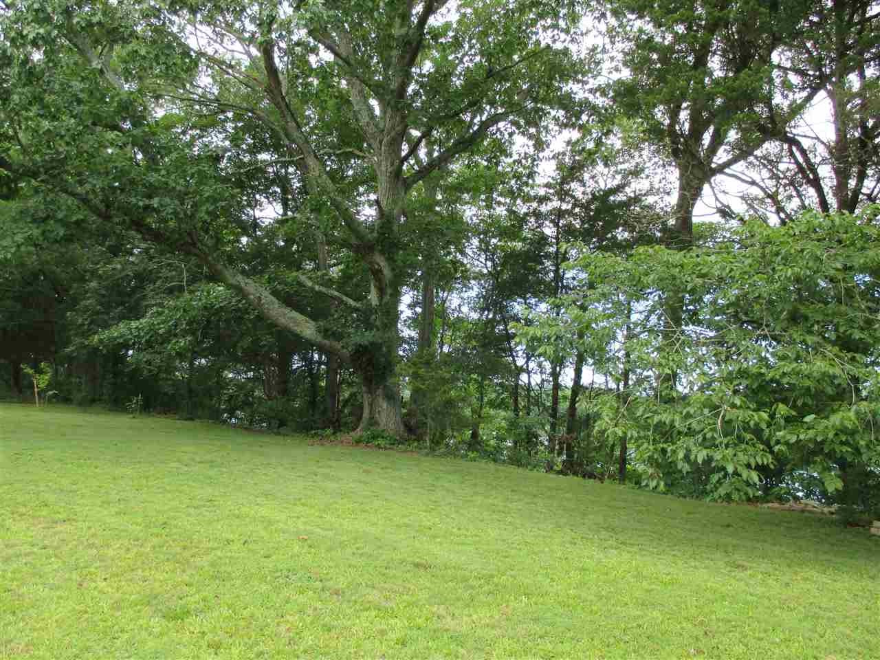 0 Cunningham Drive Decatur, TN 37322 - Photo 24 of 34 Gallery Image 24