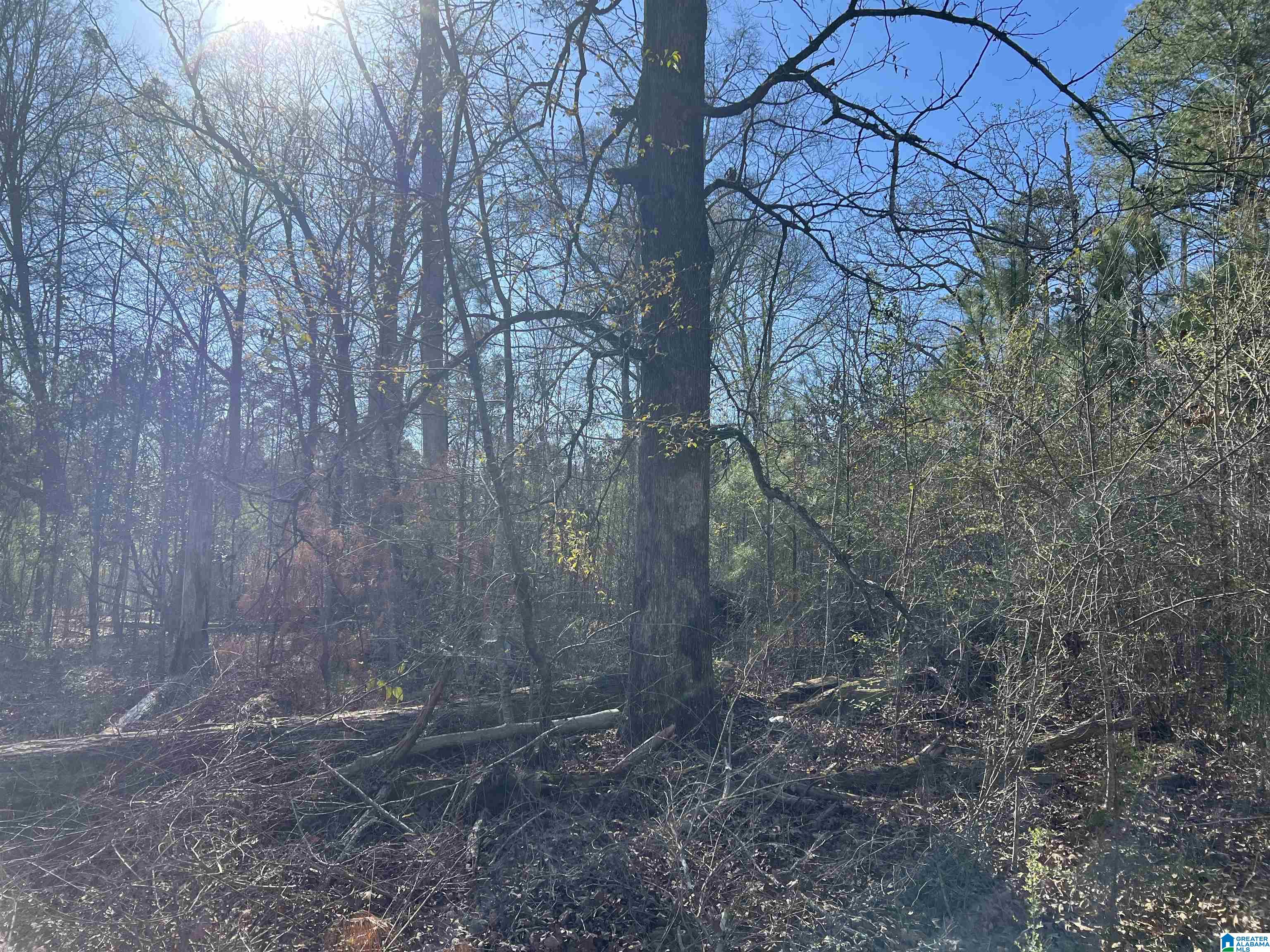 6371 Pocahontas Road, Unit 1 Bessemer, AL 35022 - Photo 4 of 6