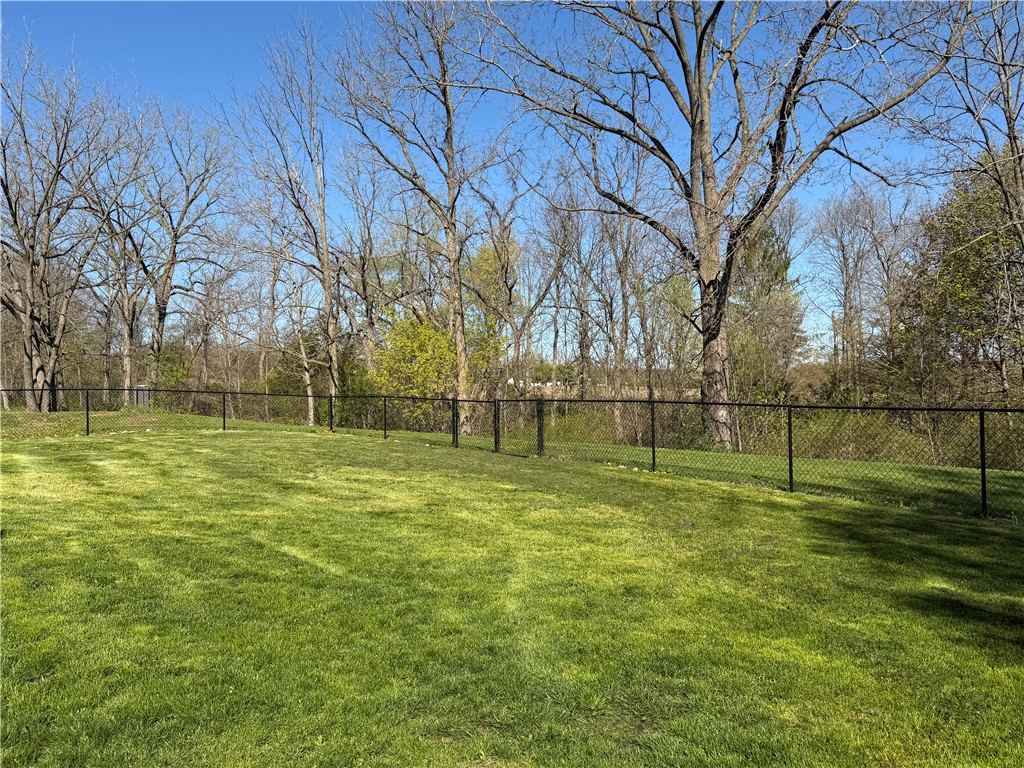 8384 Powell Road Covert, NY 14847 - Photo 33 of 43