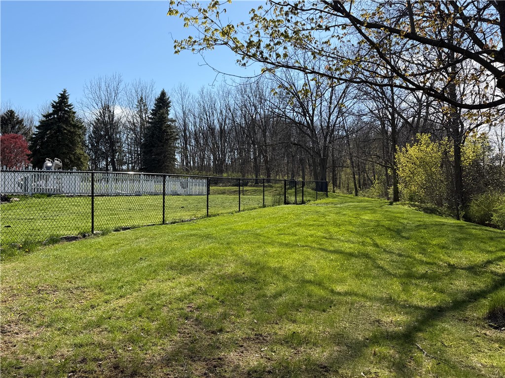 8384 Powell Road Covert, NY 14847 - Photo 34 of 43