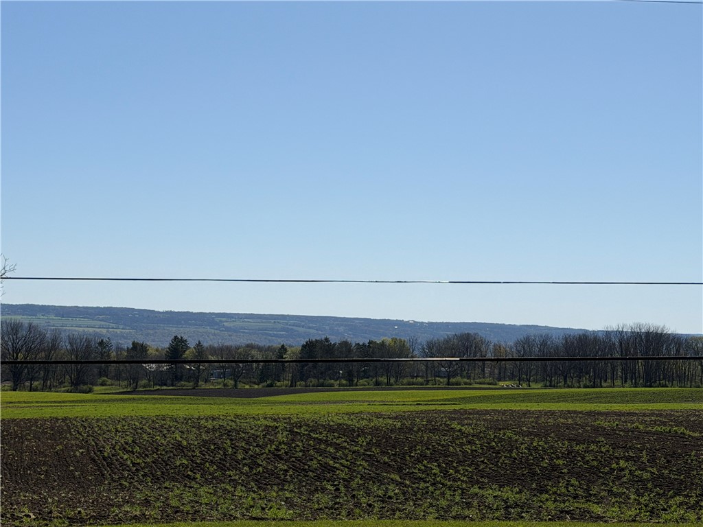 8384 Powell Road Covert, NY 14847 - Photo 36 of 43