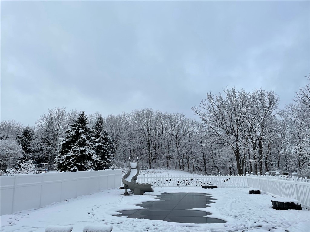 8384 Powell Road Covert, NY 14847 - Photo 42 of 43