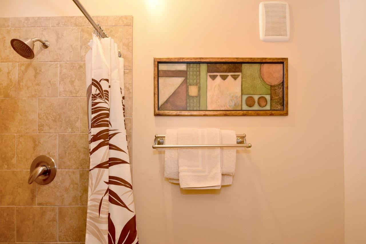 4909 Lower Honoapiilani Road, Unit E4 Lahaina, HI 96761 - Photo 17 of 30 a bathroom with a shower and a sink