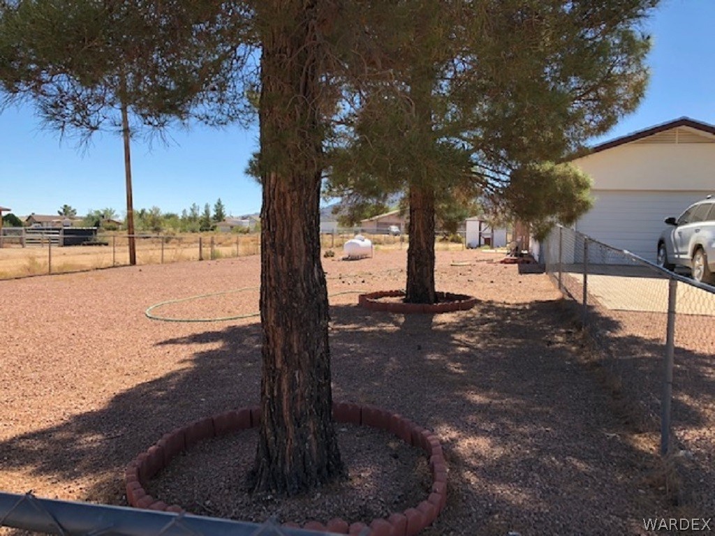 2154 East Quail Run Road Kingman, AZ 86409 - Photo 6 of 28 Tree Shade