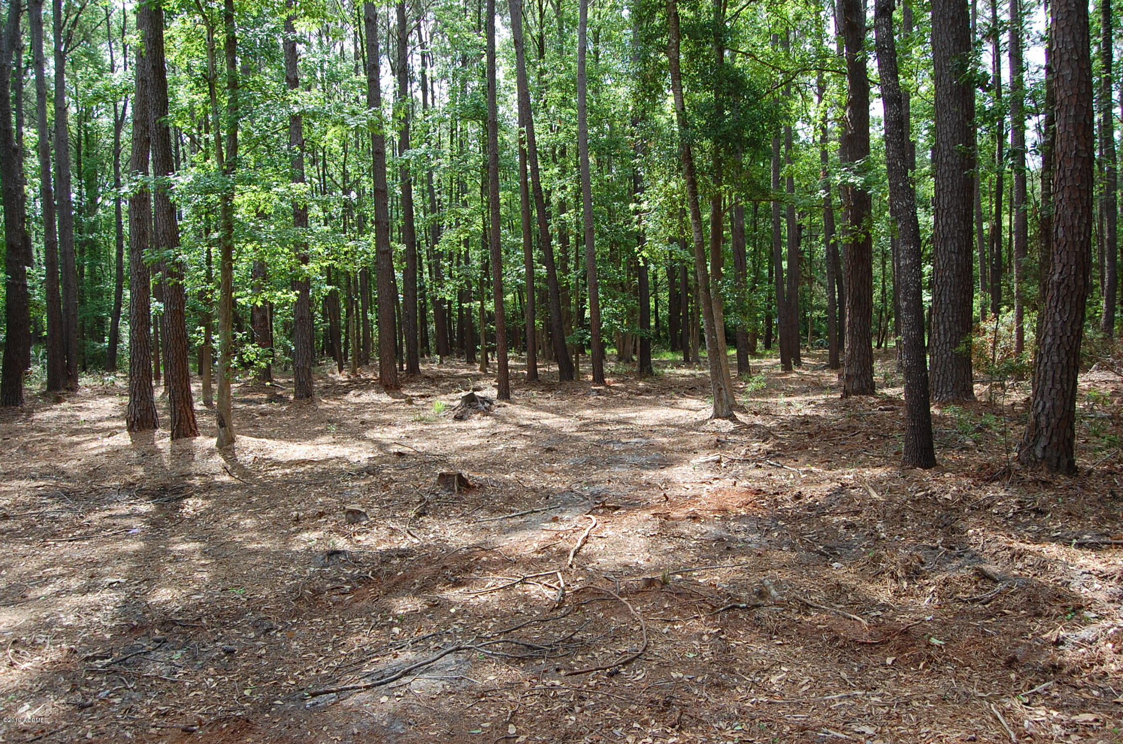 141 Gannet Point Rd 003