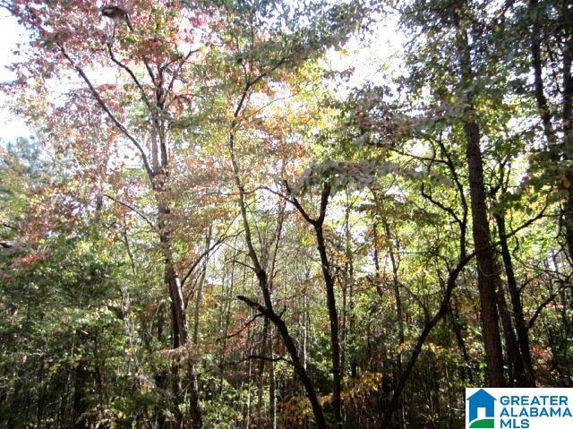 112 Pleasant Grove Road Lineville, AL 36266 - Photo 11 of 14