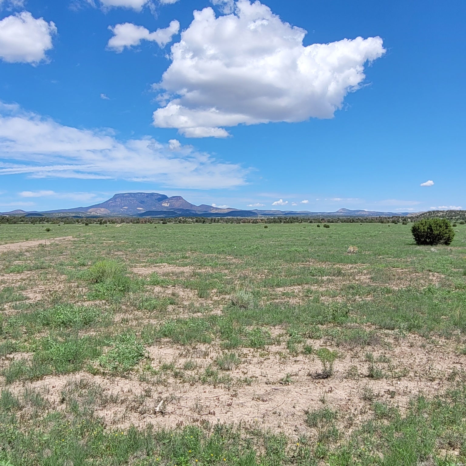 1 Frontier Trail, Unit 17 18 Datil, NM 87821 - Photo 24 of 30 Gallery Image 24