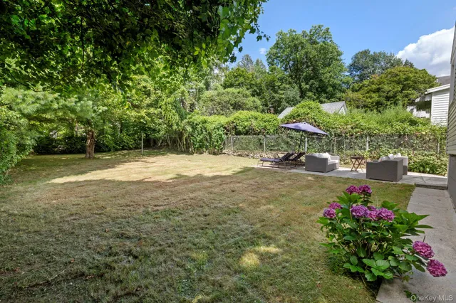 a view of a yard with plants and large trees