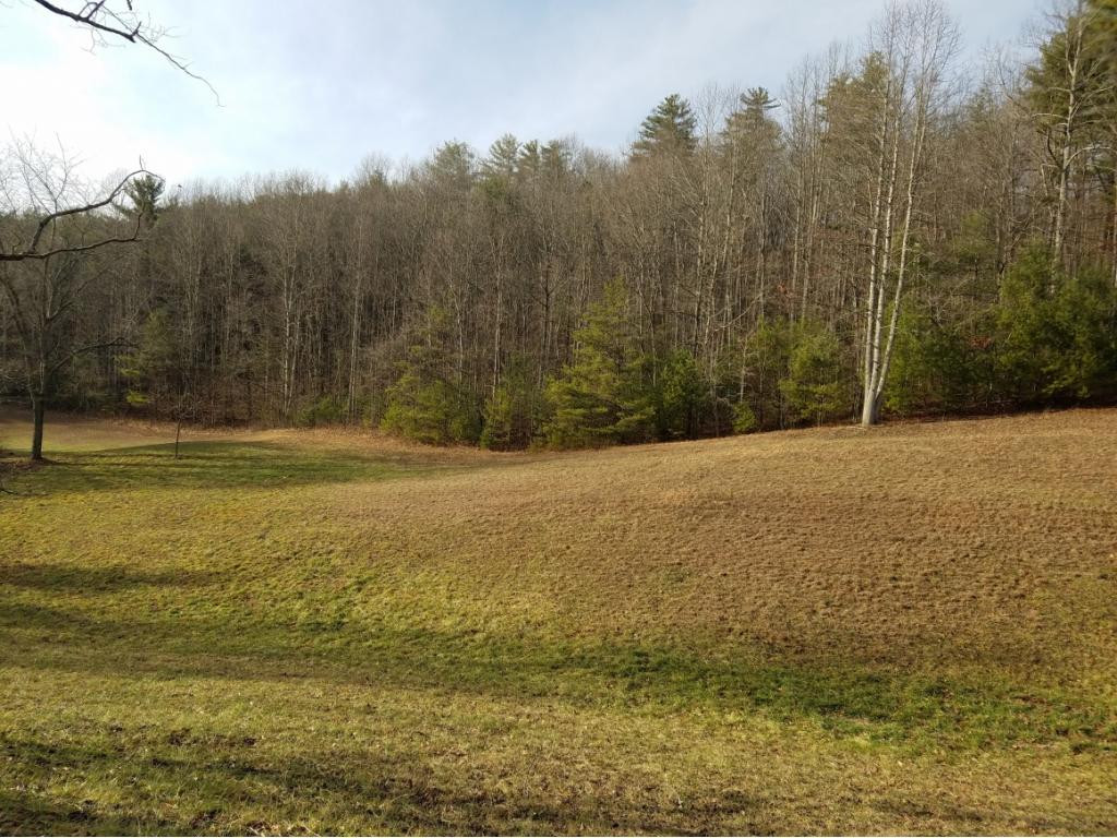 5537 Sink Valley Road Butler, TN 37640 - Photo 3 of 4 Photo 3